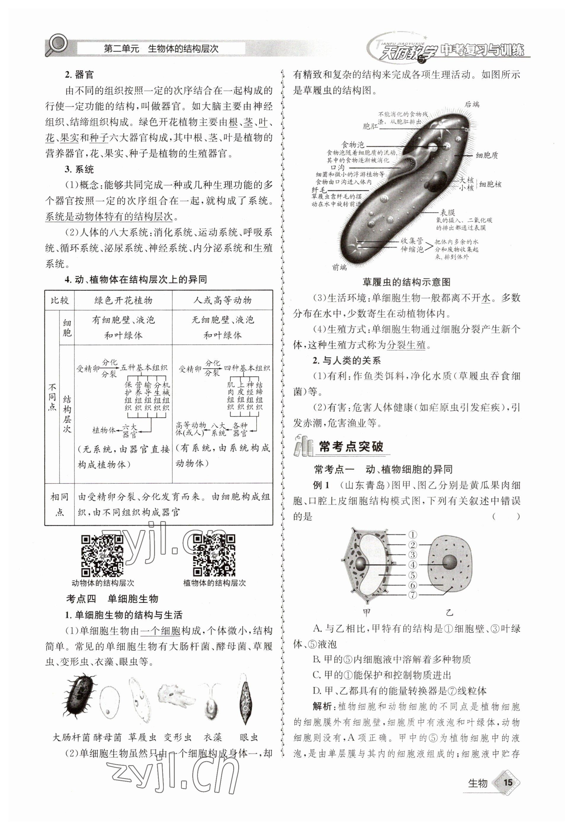 2023年天府教與學(xué)中考復(fù)習(xí)與訓(xùn)練生物 參考答案第15頁