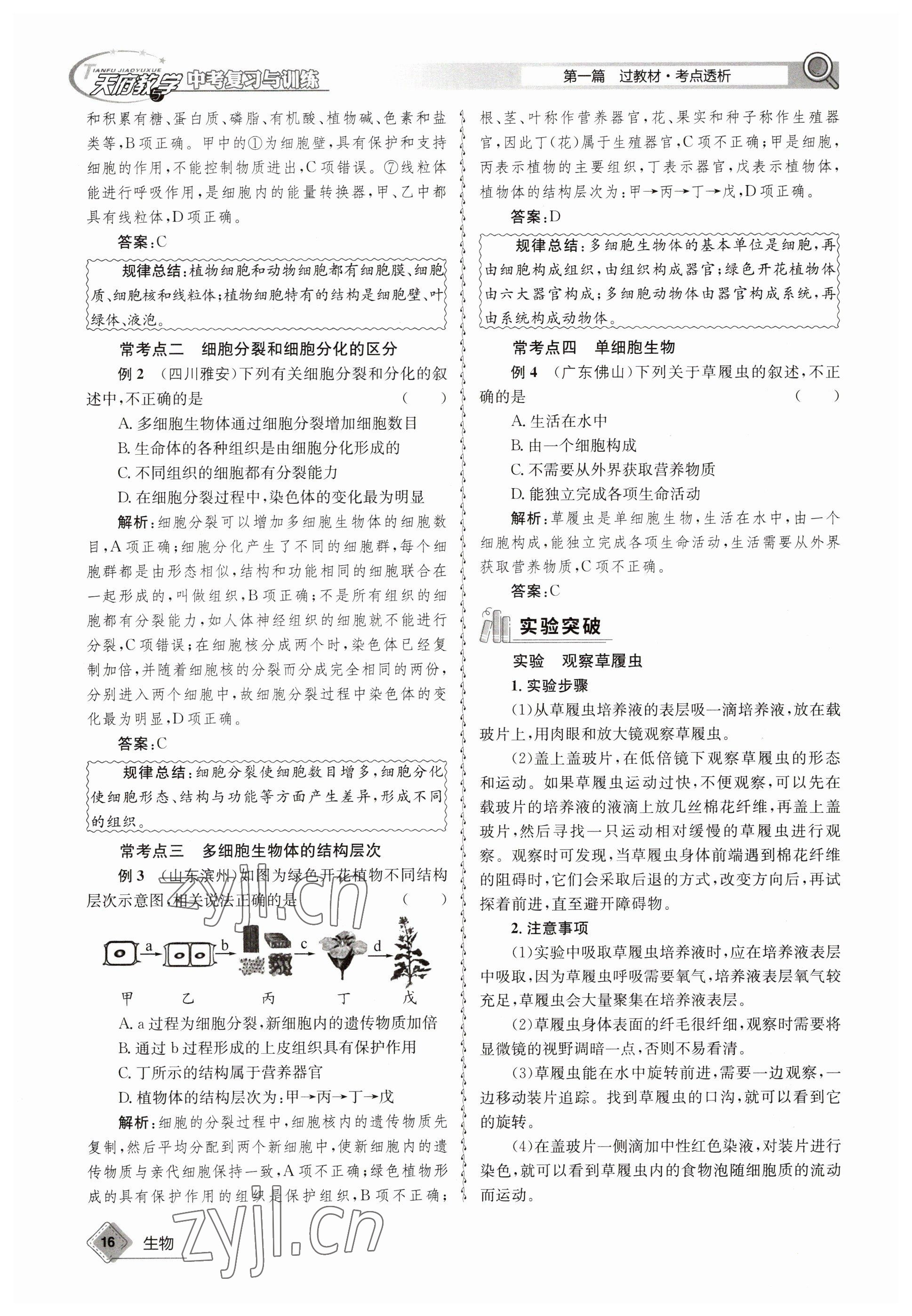 2023年天府教與學(xué)中考復(fù)習(xí)與訓(xùn)練生物 參考答案第16頁