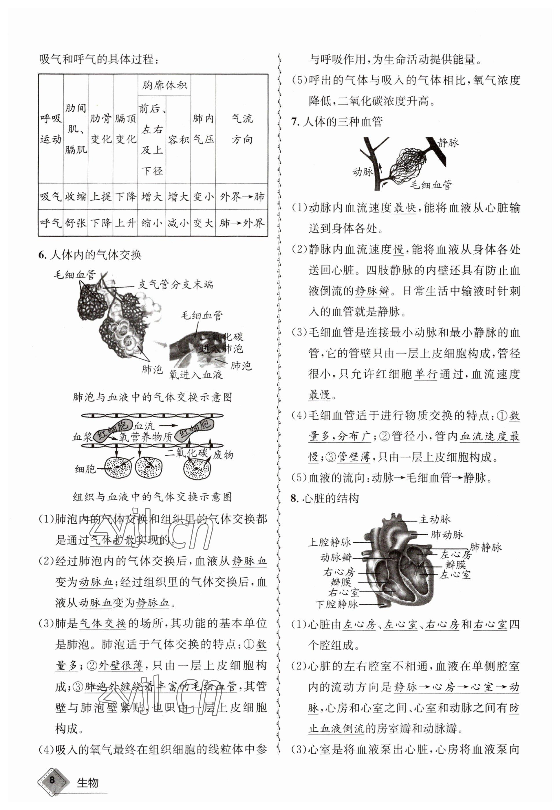 2023年天府教與學(xué)中考復(fù)習(xí)與訓(xùn)練生物 參考答案第8頁