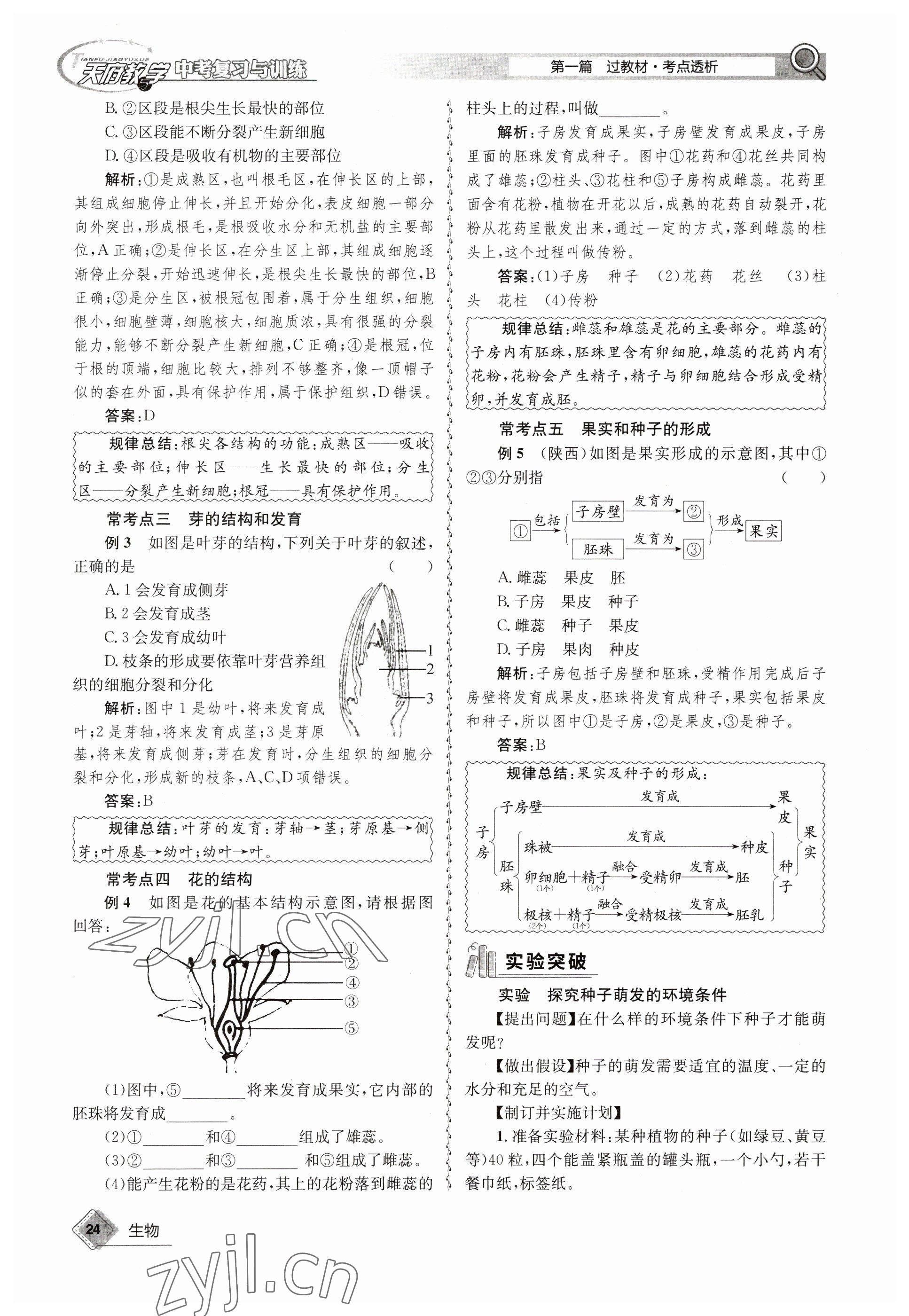 2023年天府教與學(xué)中考復(fù)習(xí)與訓(xùn)練生物 參考答案第24頁(yè)