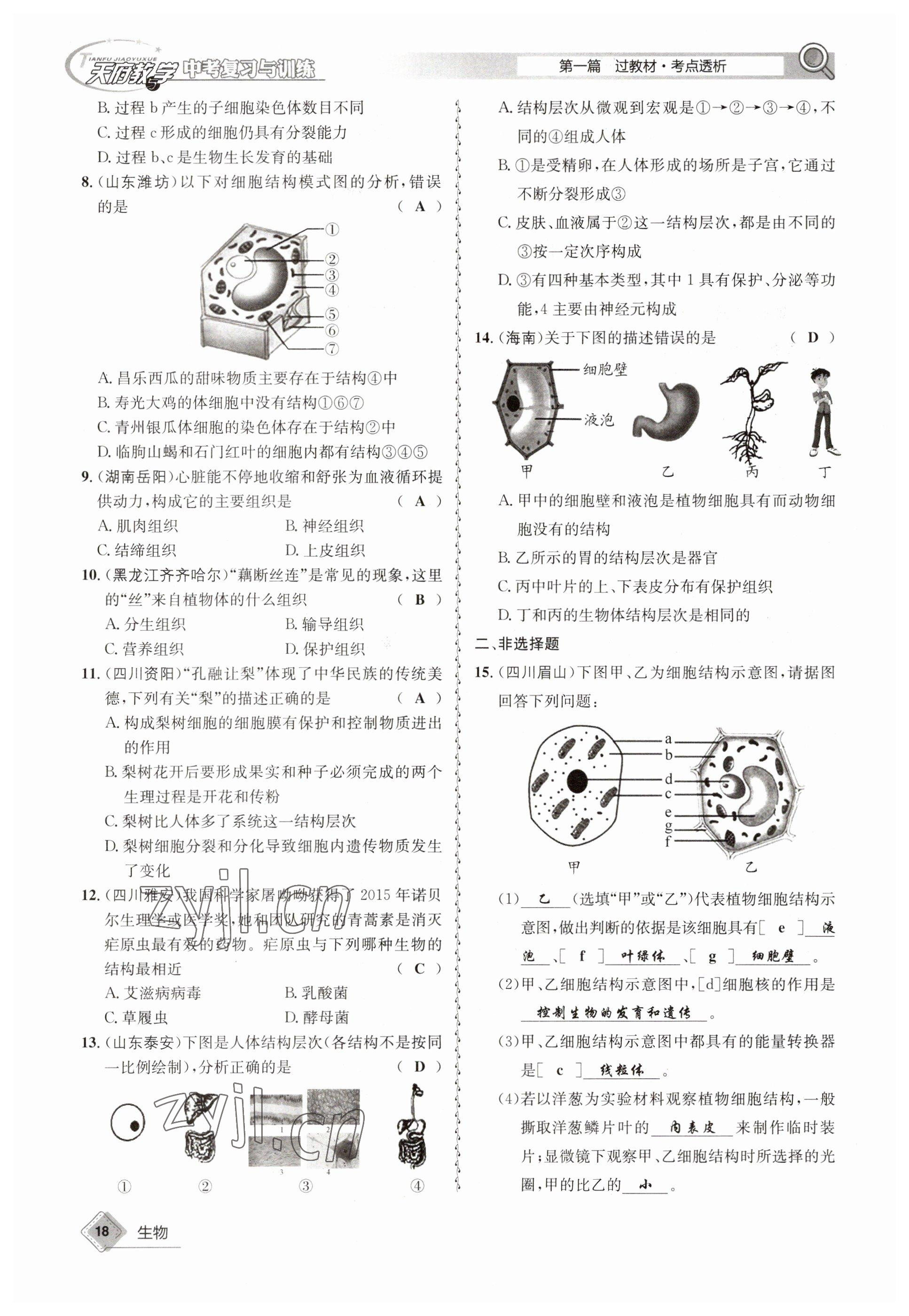 2023年天府教與學(xué)中考復(fù)習(xí)與訓(xùn)練生物 參考答案第18頁