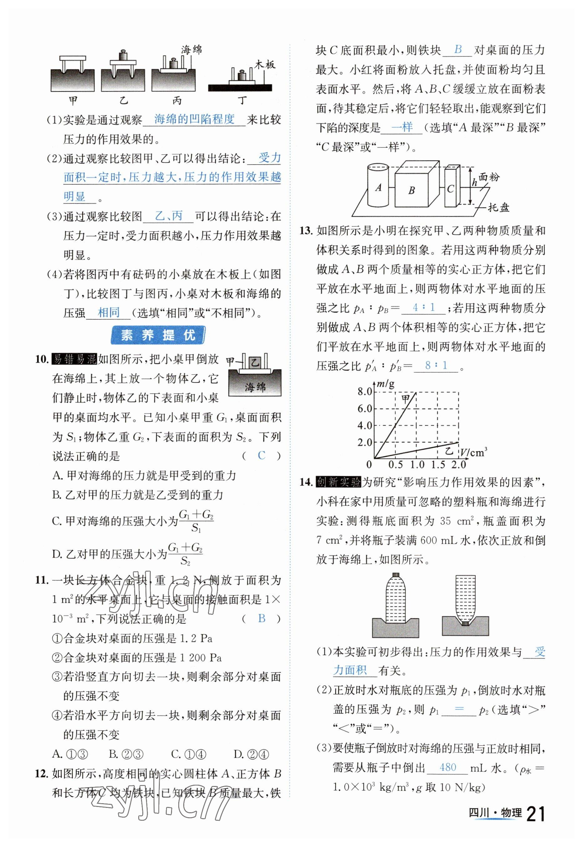 2023年中考2号物理四川专版 参考答案第21页