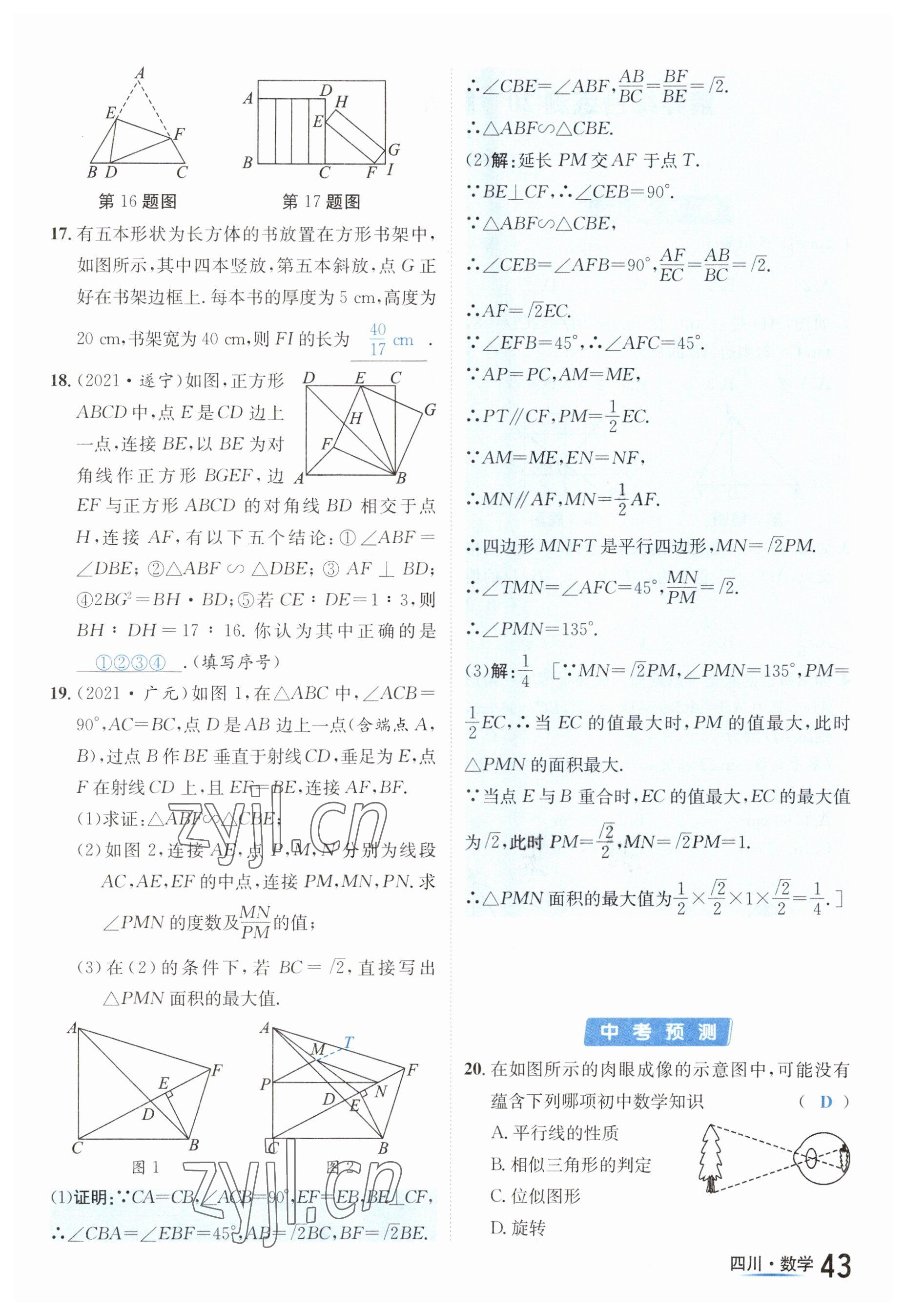 2023年中考2号数学四川专版 参考答案第43页