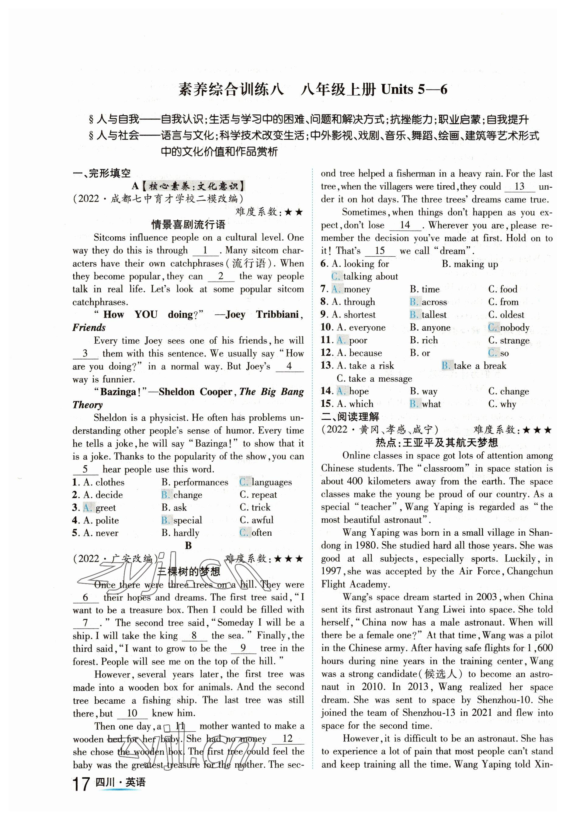 2023年中考2号英语四川专版 参考答案第17页