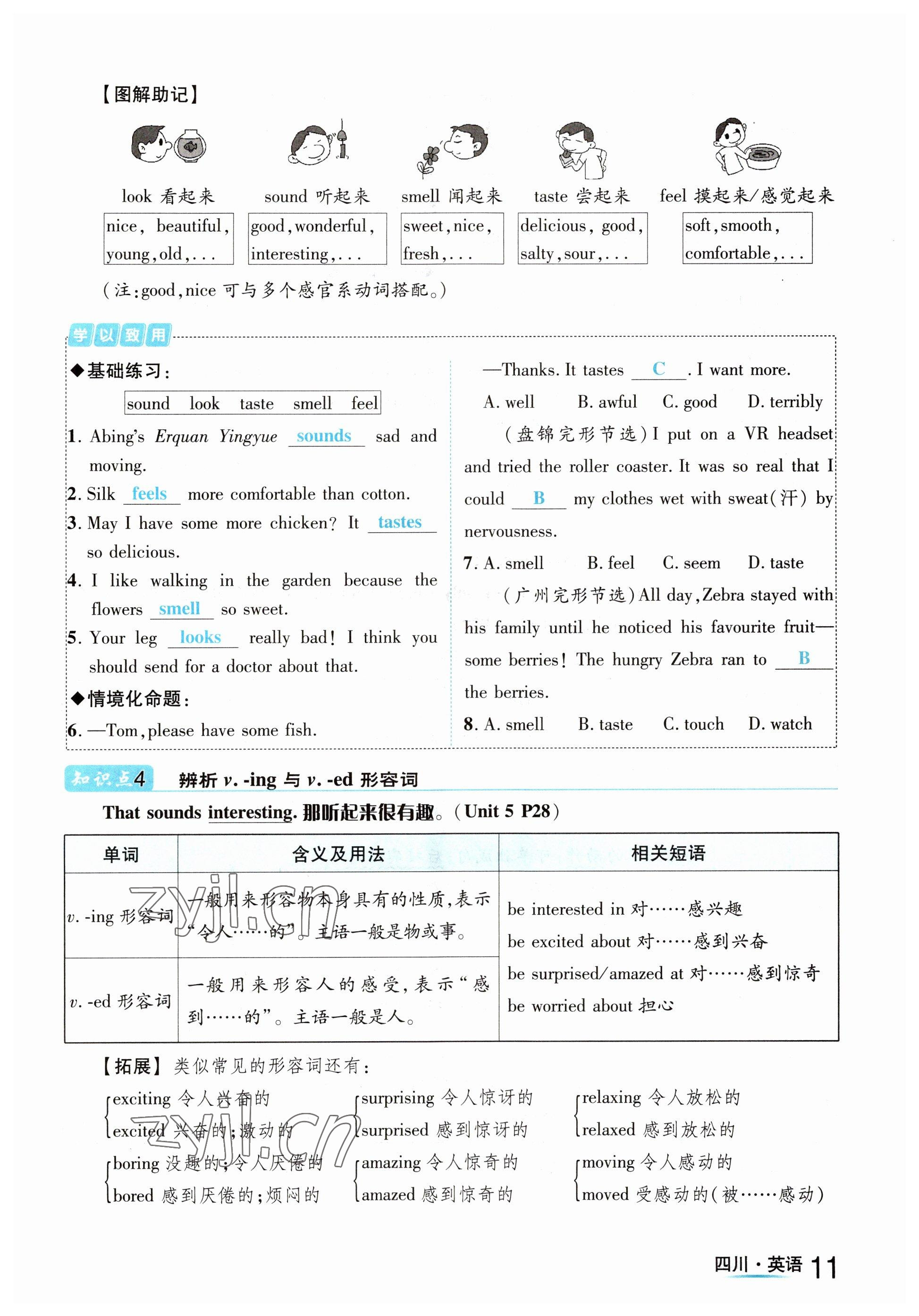 2023年中考2号英语四川专版 参考答案第11页