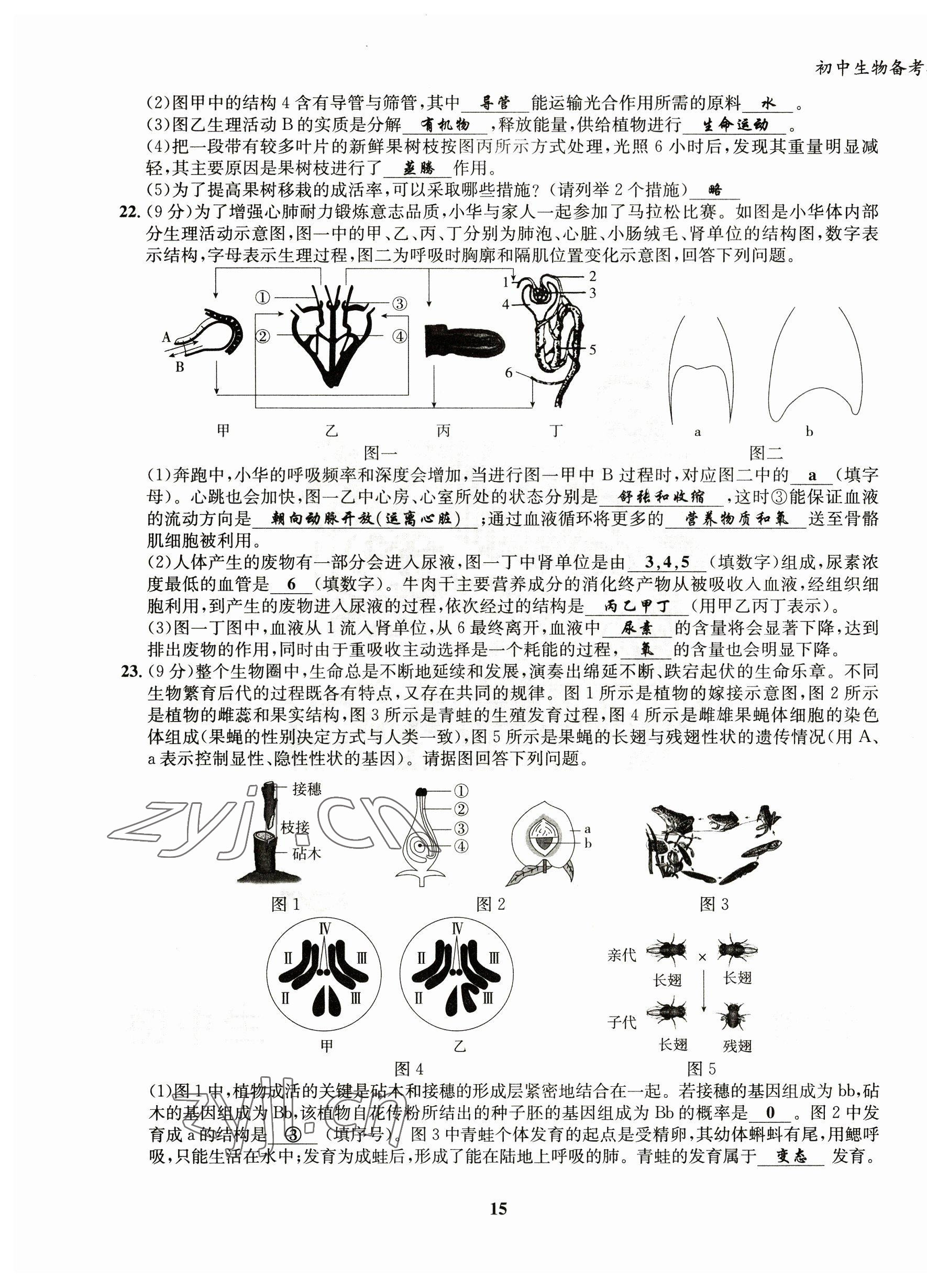 2023年初中生物學科能力培養與備考指導北師大版 第15頁