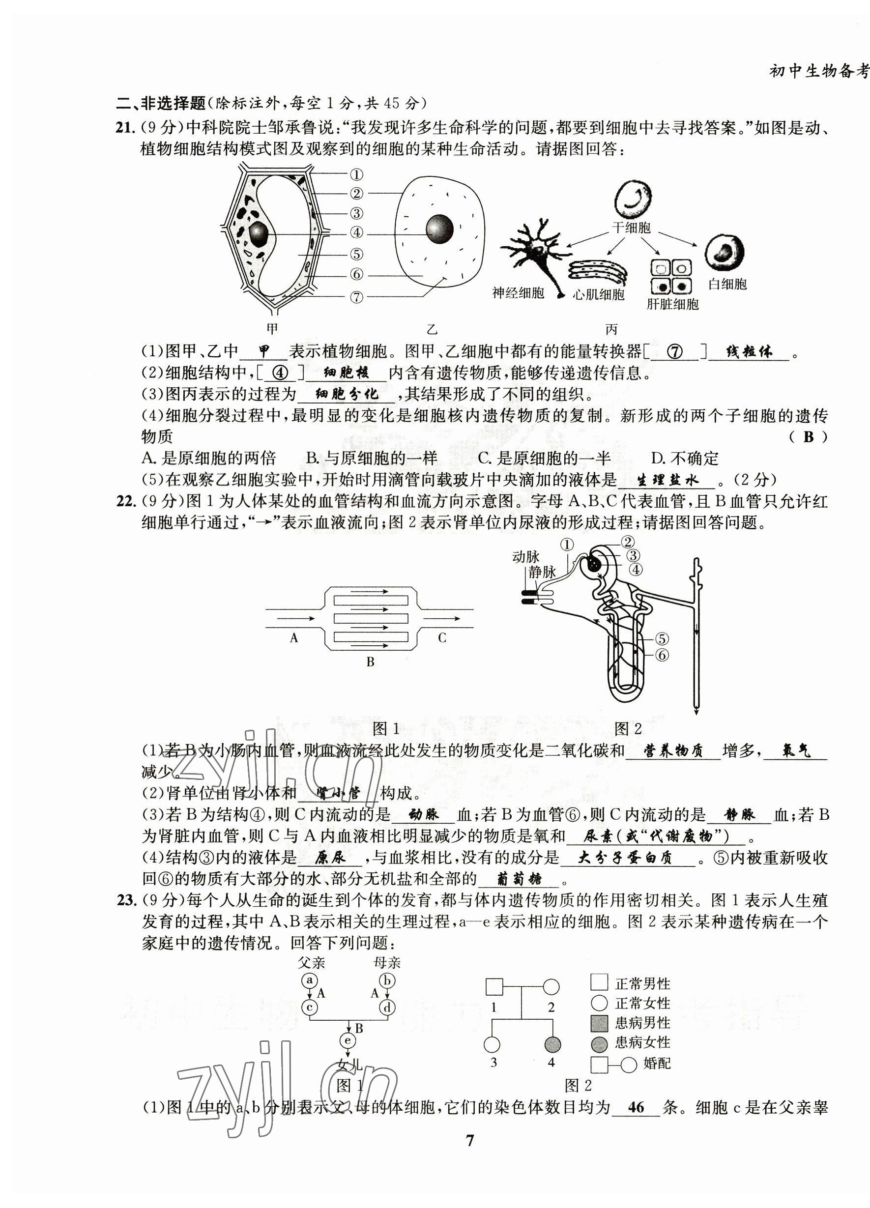 2023年初中生物學科能力培養與備考指導北師大版 第7頁