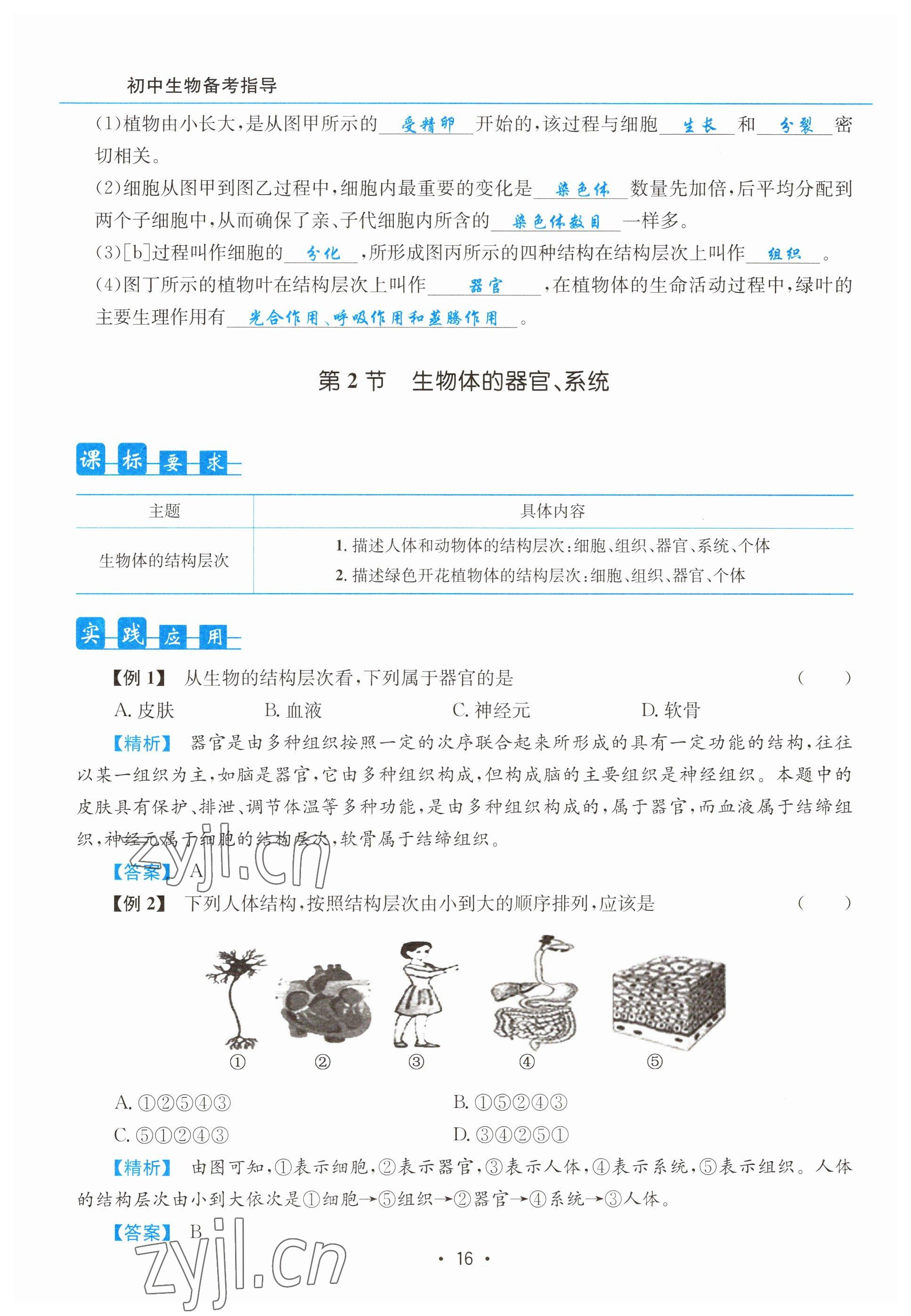 2023年初中生物學科能力培養與備考指導北師大版 參考答案第16頁