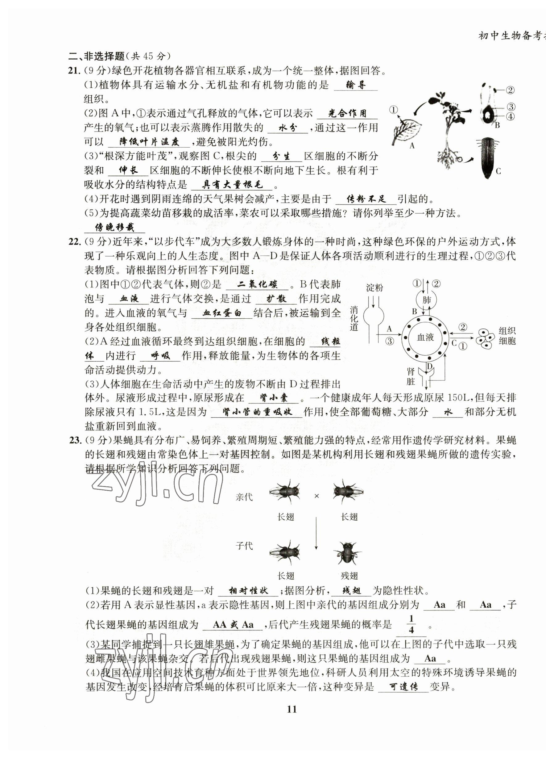 2023年初中生物學科能力培養與備考指導北師大版 第11頁