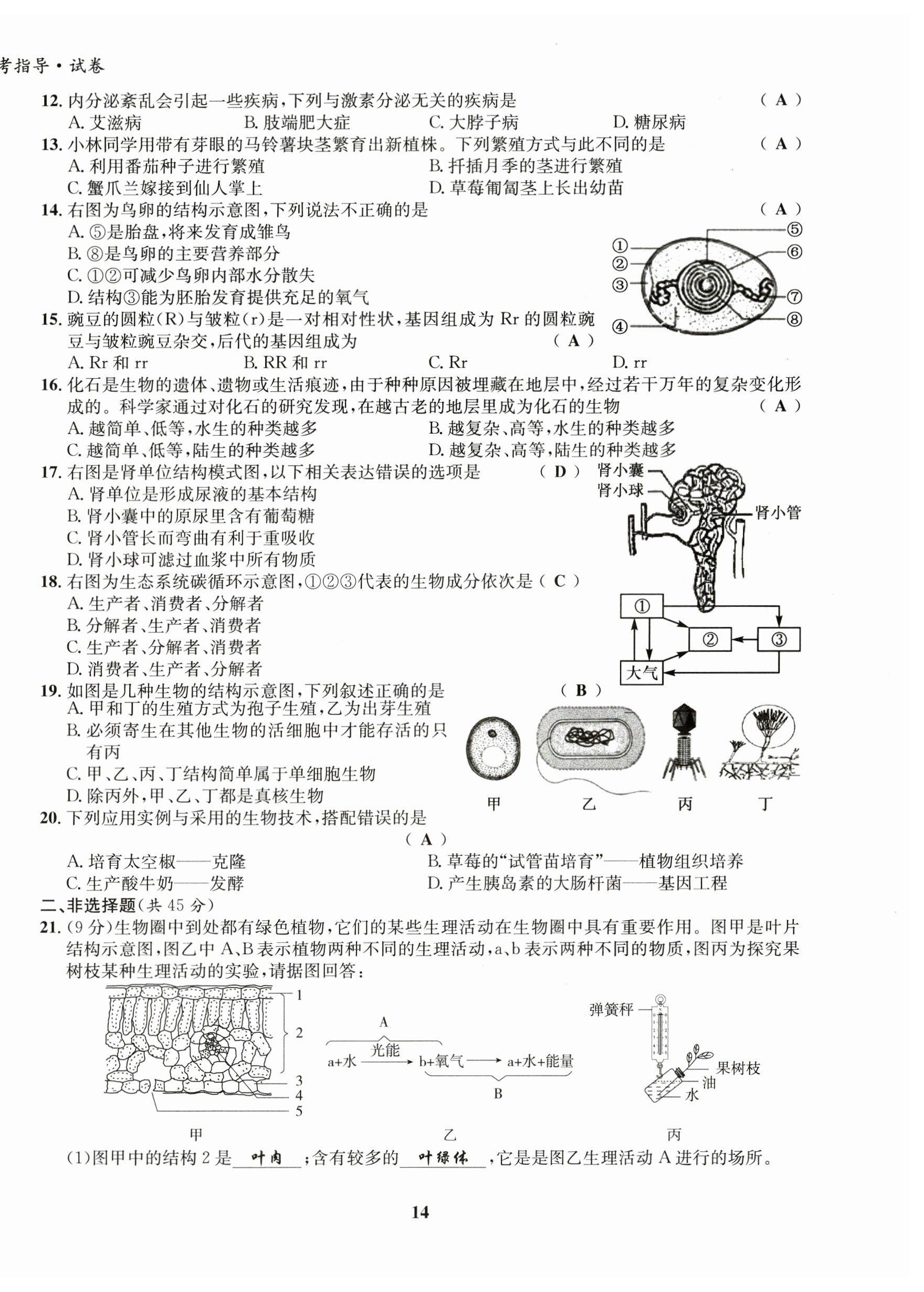 2023年初中生物學科能力培養與備考指導北師大版 第14頁