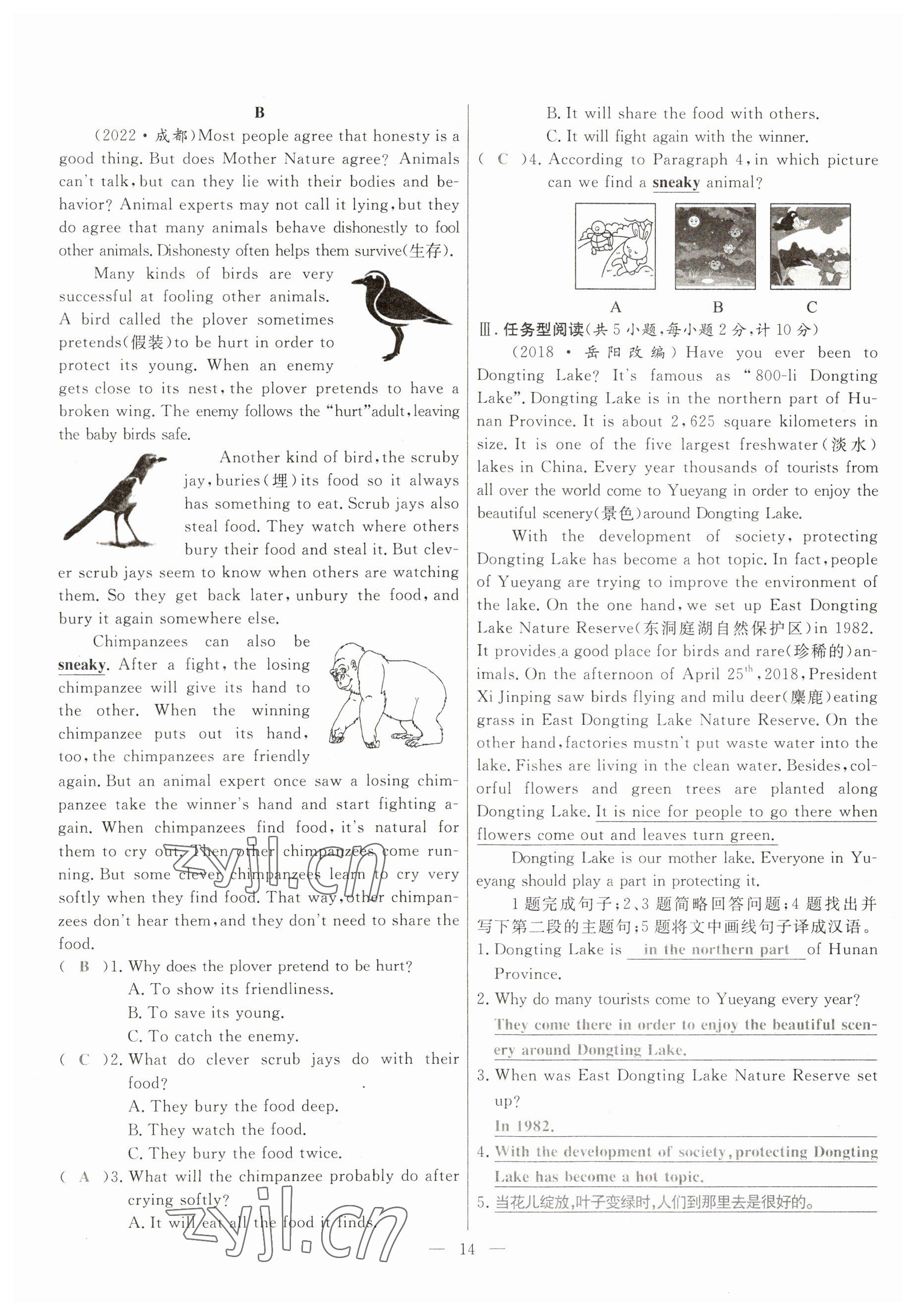 2023年冀考金榜中考總復(fù)習(xí)優(yōu)化設(shè)計英語冀教版 參考答案第14頁