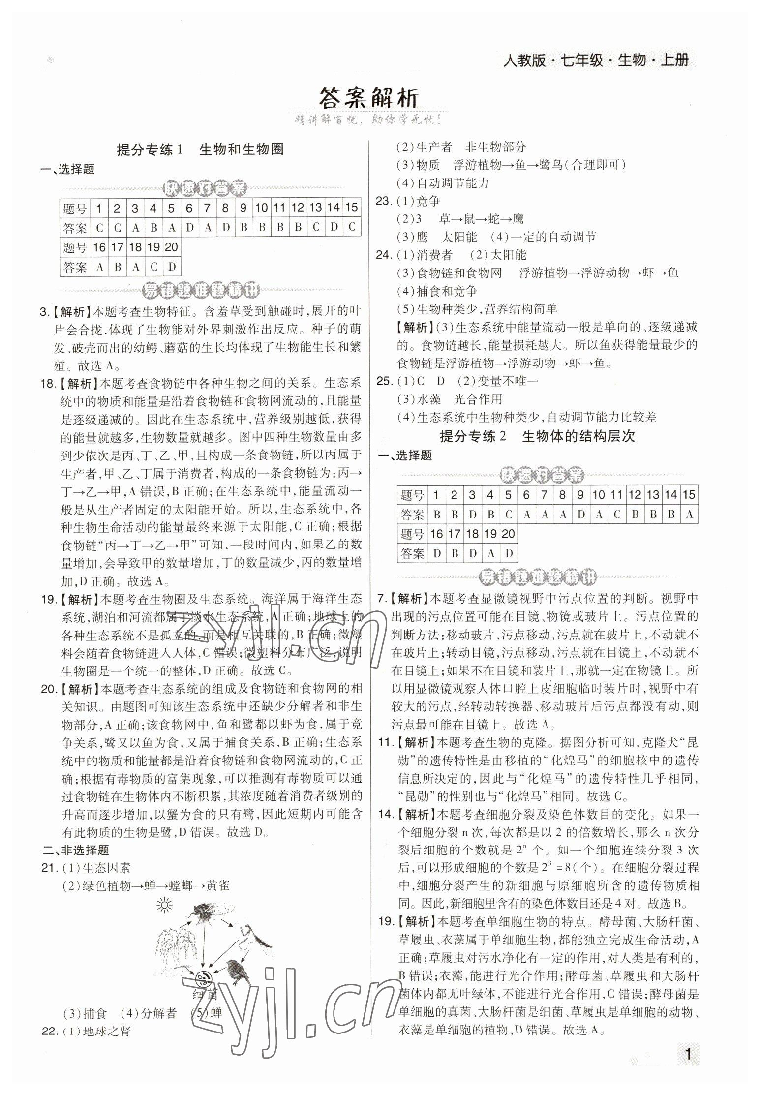 2022年期末考试必刷卷七年级生物上册人教版河南专版 参考答案第1页