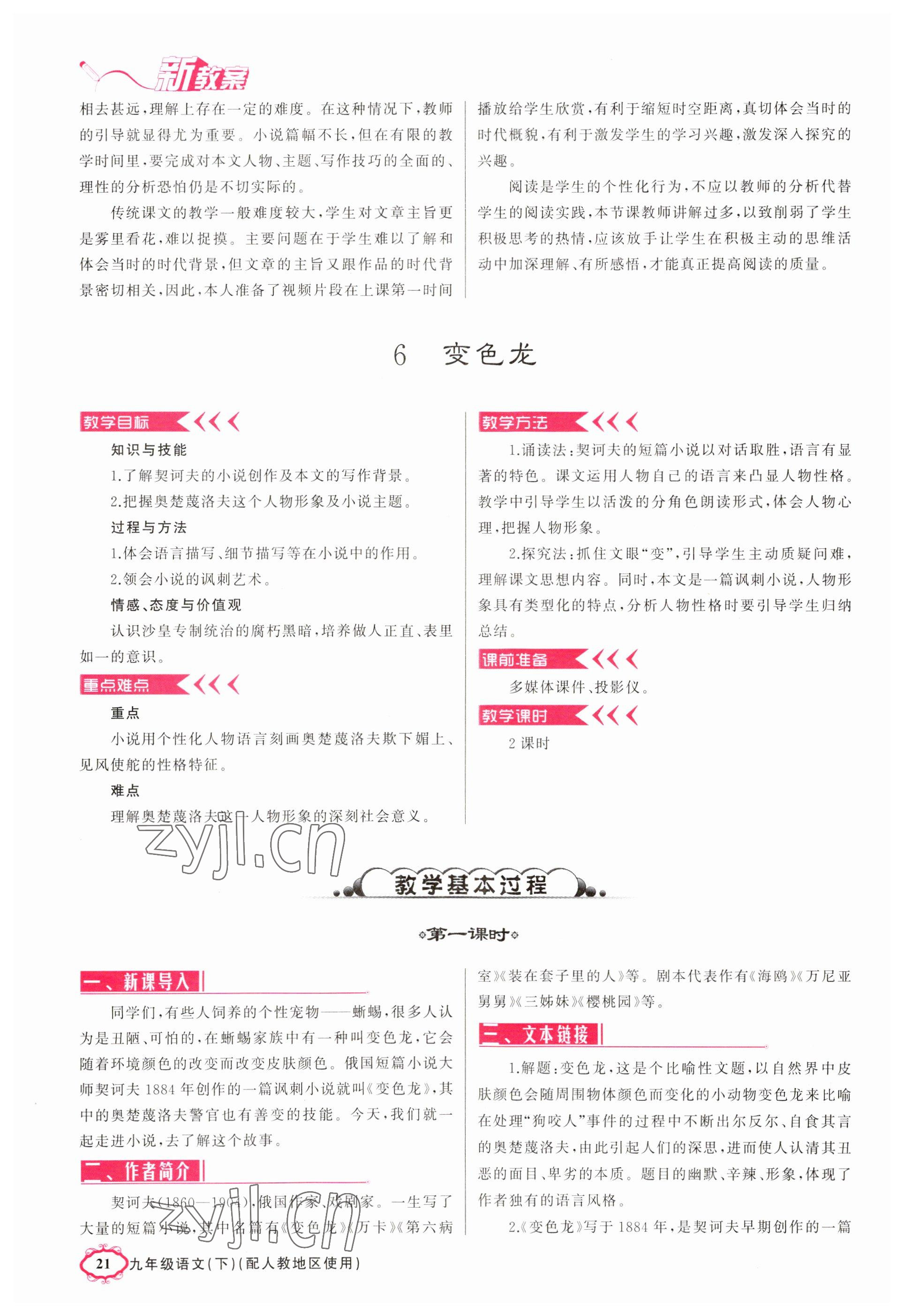 2023年四清導(dǎo)航九年級(jí)語(yǔ)文下冊(cè)人教版河南專版 參考答案第21頁(yè)