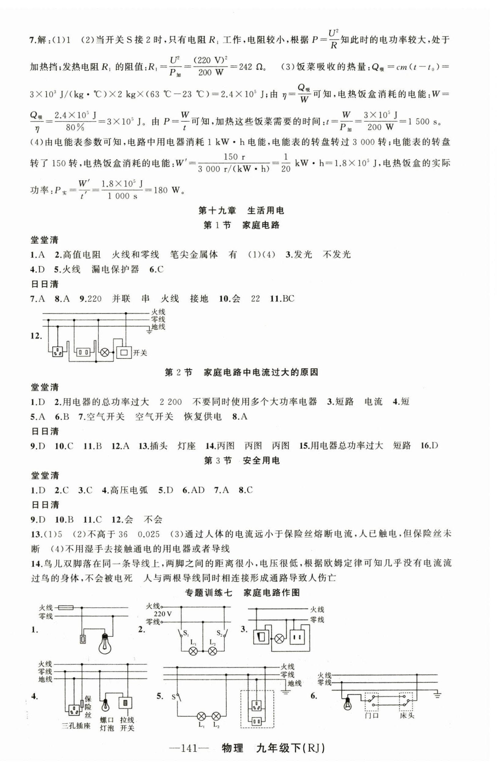 2023年四清導(dǎo)航九年級(jí)物理下冊(cè)人教版河南專版 第6頁