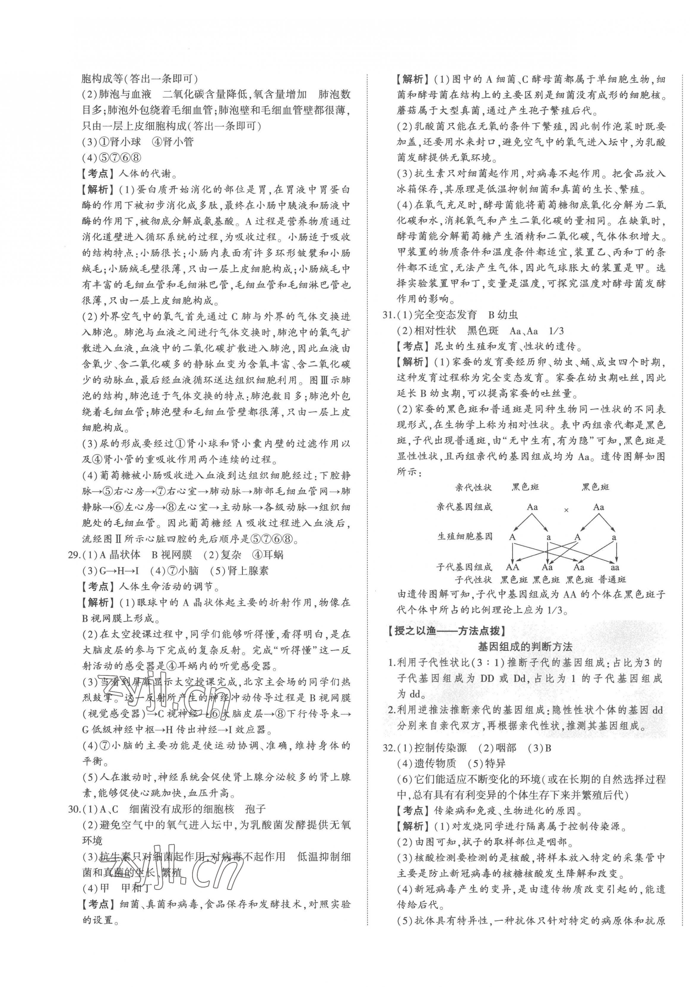 2023年智乐星中考中考真题汇编生物中考山东专版&nbsp;第5页