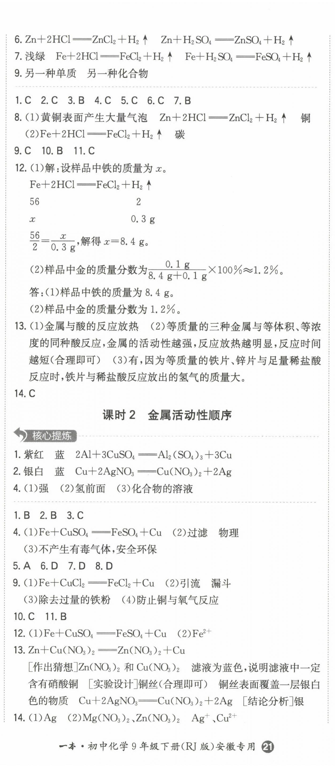 2023年一本同步訓(xùn)練初中化學(xué)九年級下冊人教版安徽專版 第2頁