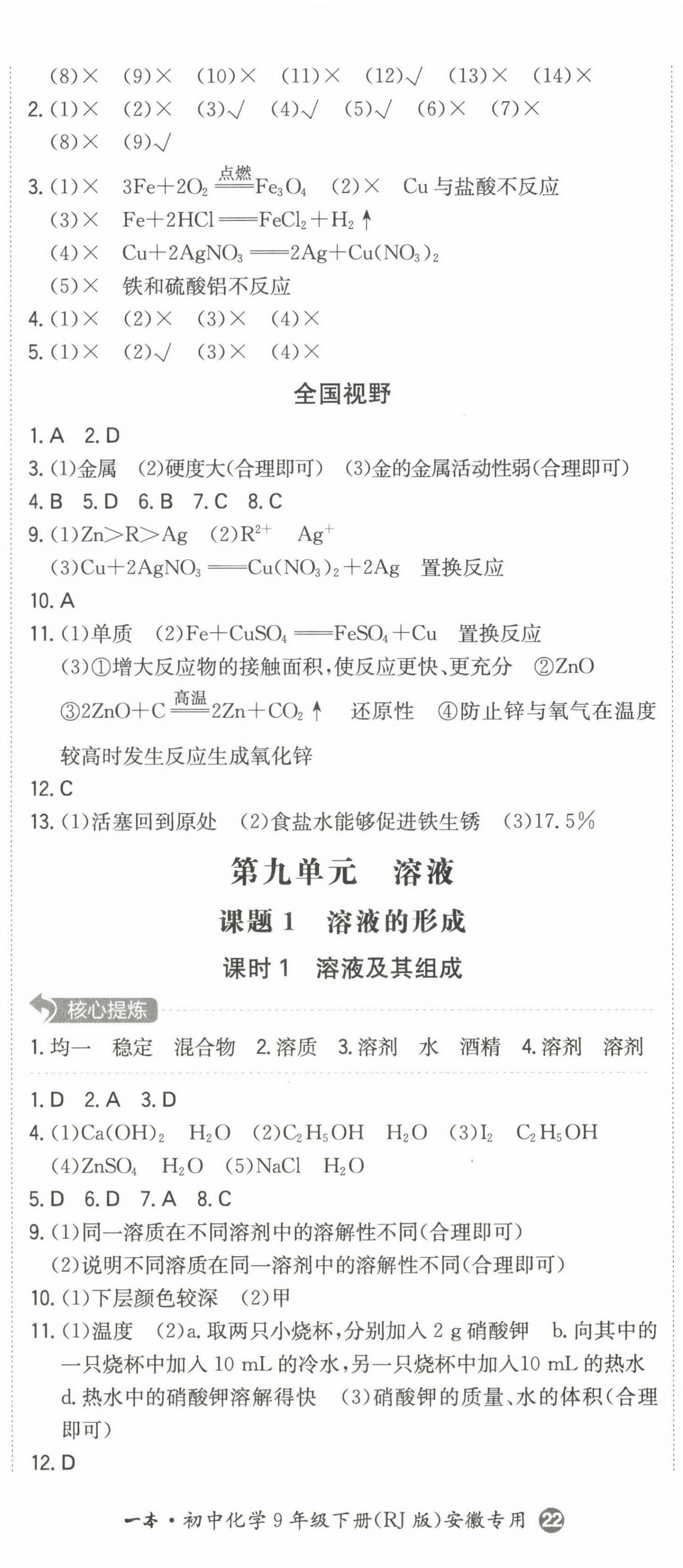 2023年一本同步訓(xùn)練初中化學(xué)九年級下冊人教版安徽專版 第5頁