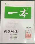 2023年一本同步訓(xùn)練初中道德與法治九年級(jí)下冊(cè)人教版安徽專(zhuān)版