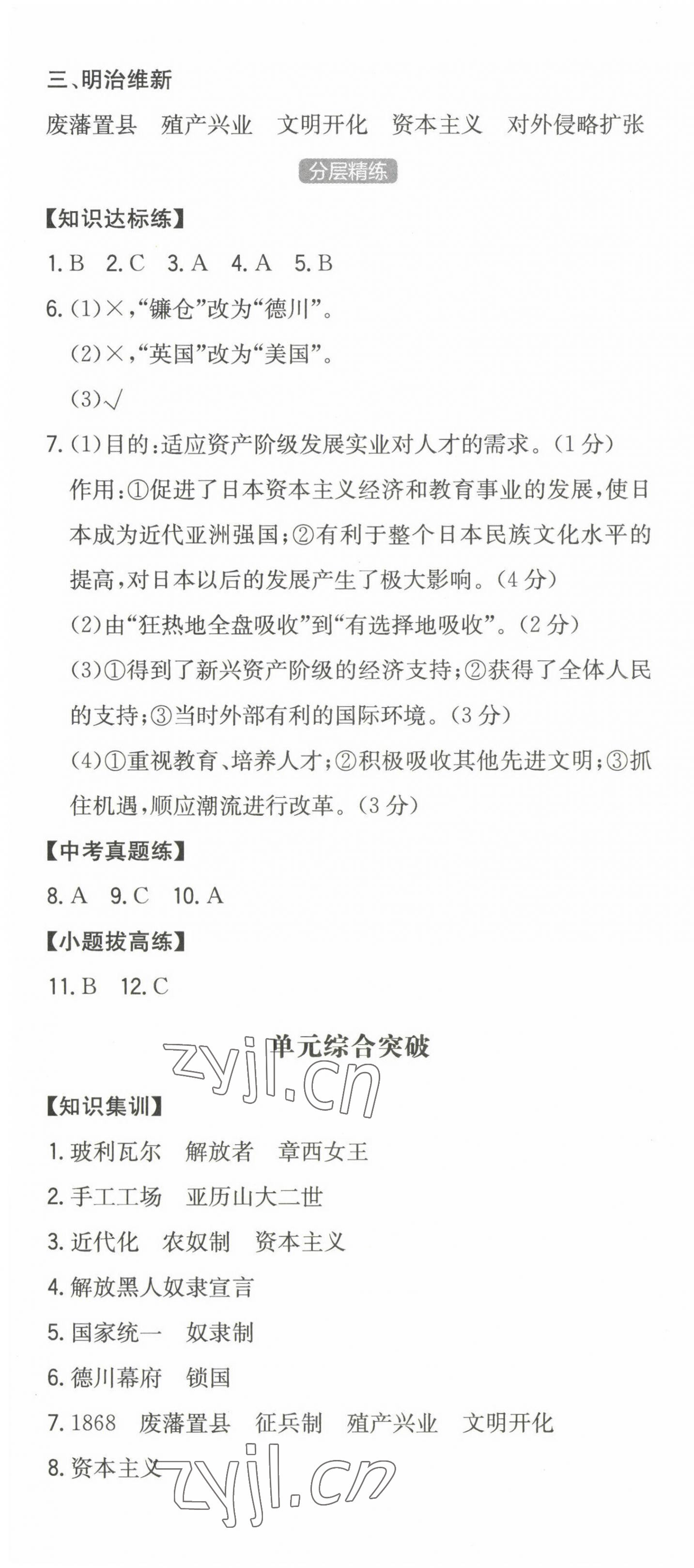 2023年一本同步訓(xùn)練初中歷史九年級(jí)下冊(cè)人教版安徽專版 第4頁(yè)