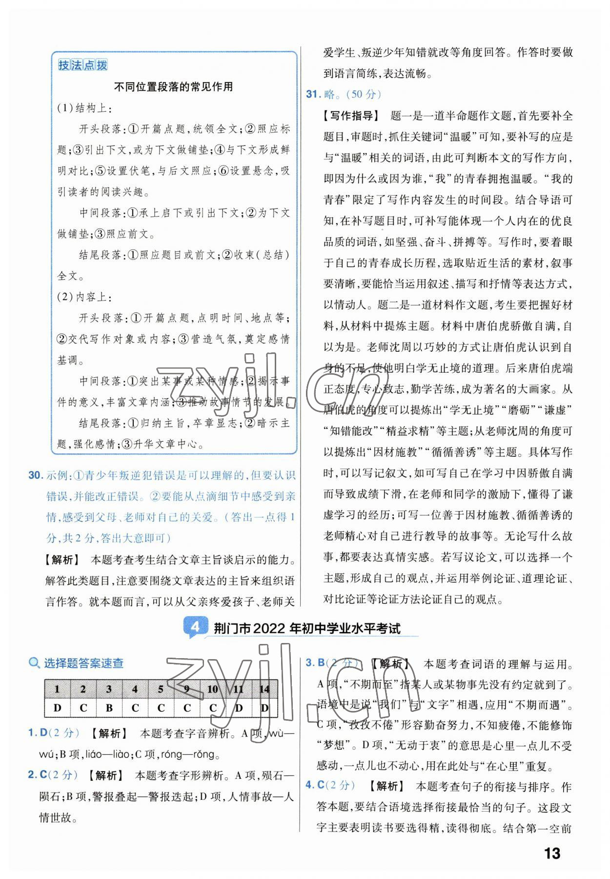 2023年金考卷45套匯編語(yǔ)文湖北專版 第13頁(yè)