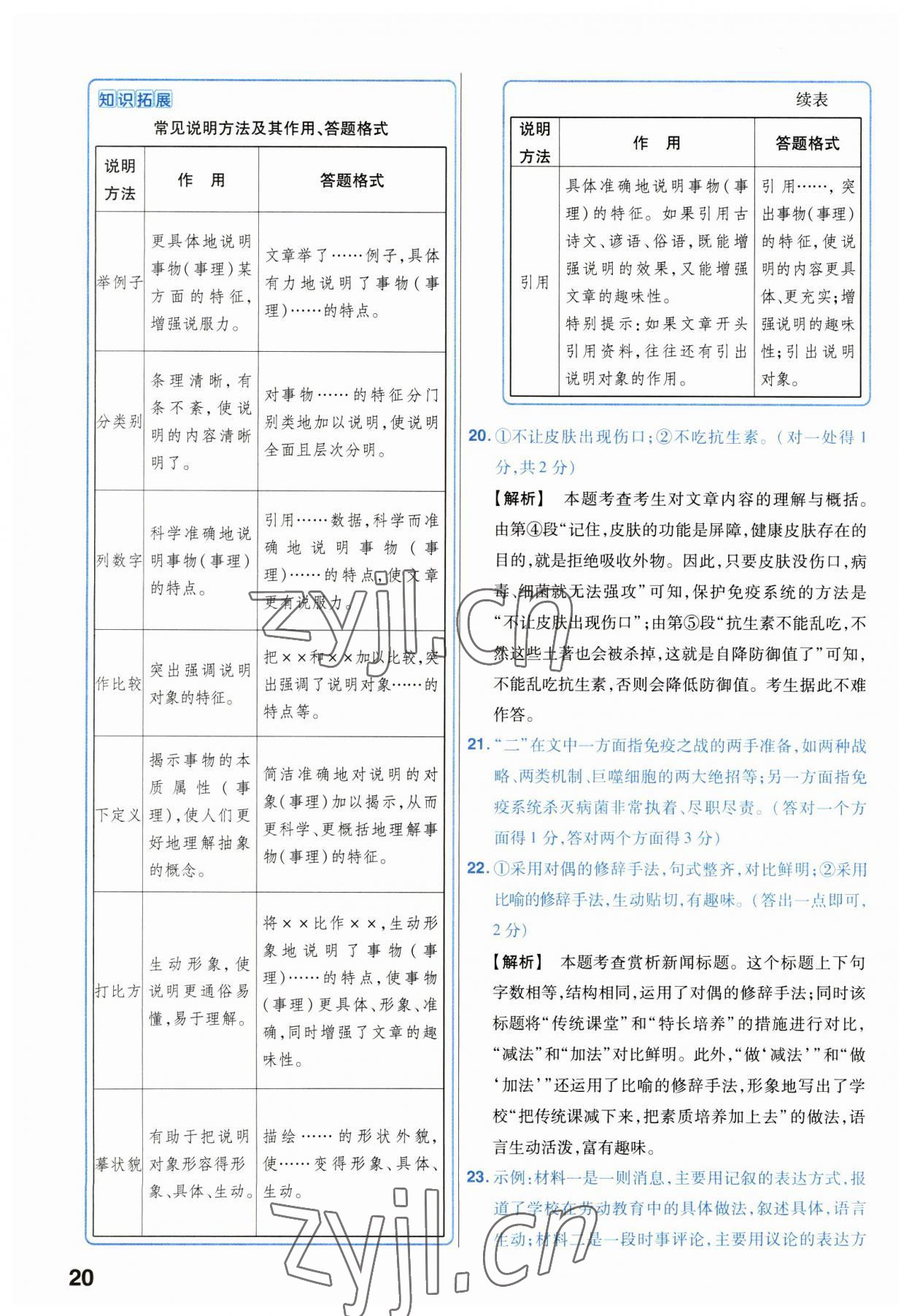 2023年金考卷45套匯編語(yǔ)文湖北專版 第20頁(yè)