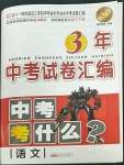 2023年3年中考试卷汇编中考考什么语文