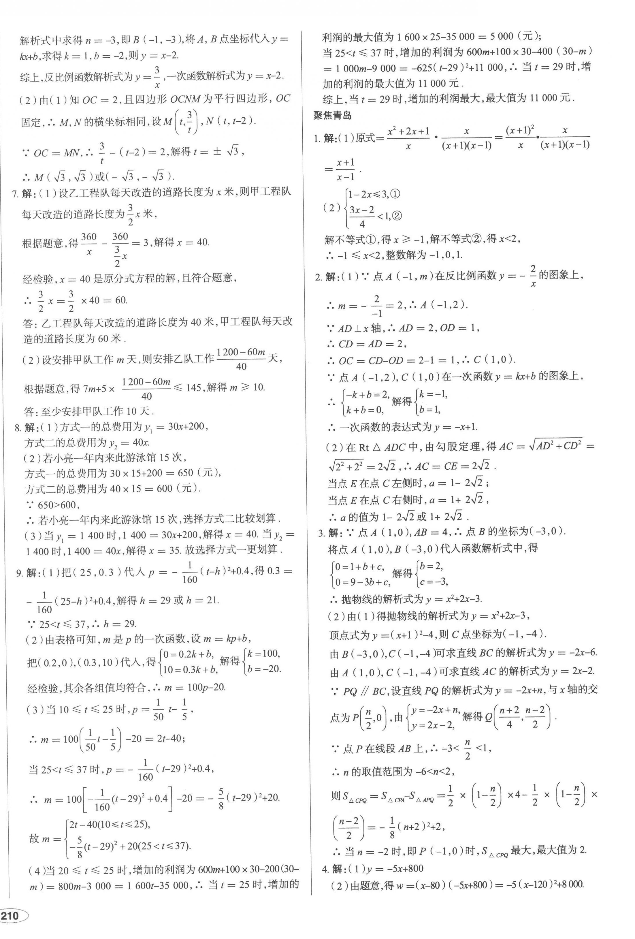 2023年中考档案数学青岛专版 第12页