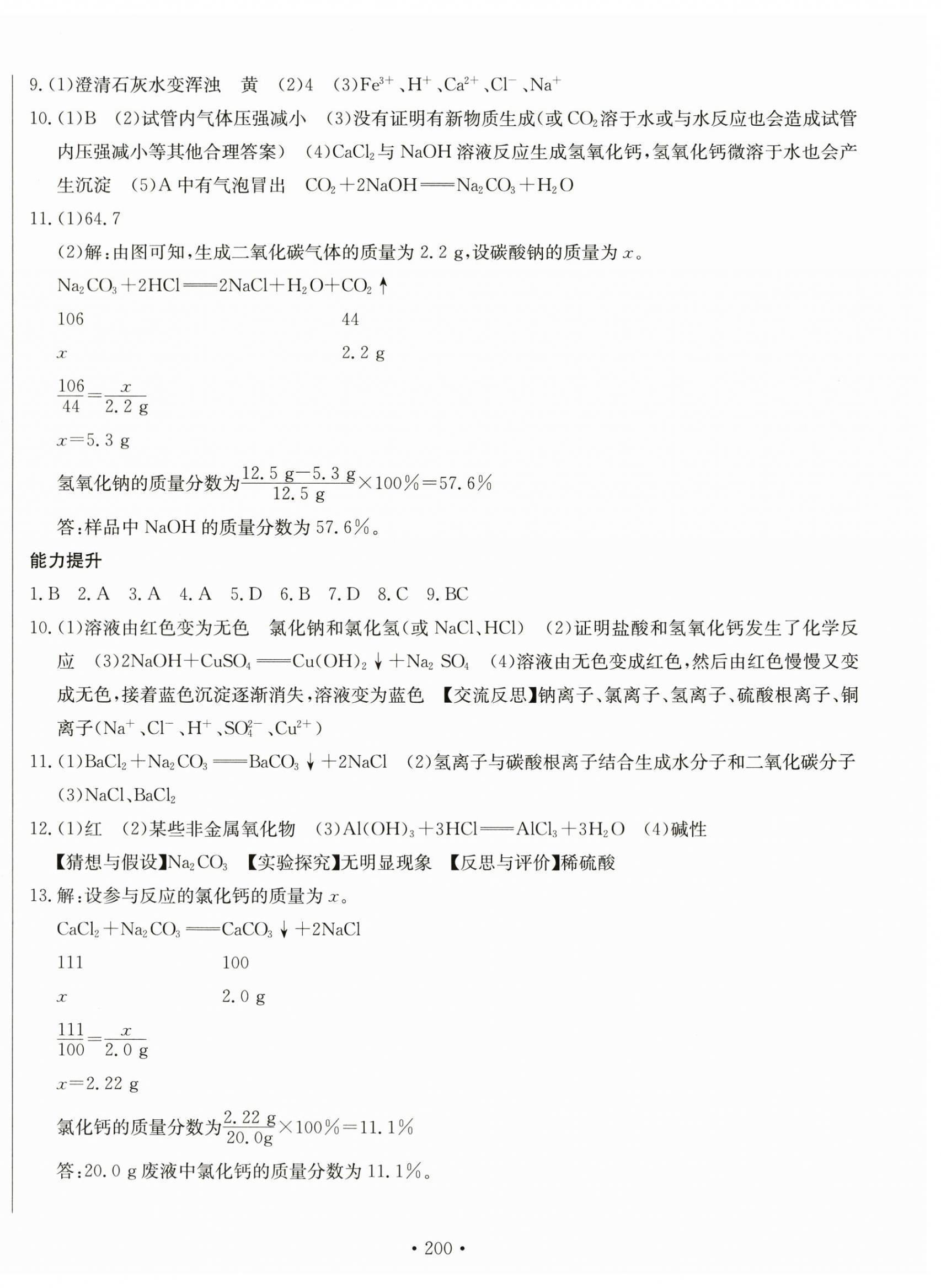 2023年中考档案化学B版青岛专版 第4页