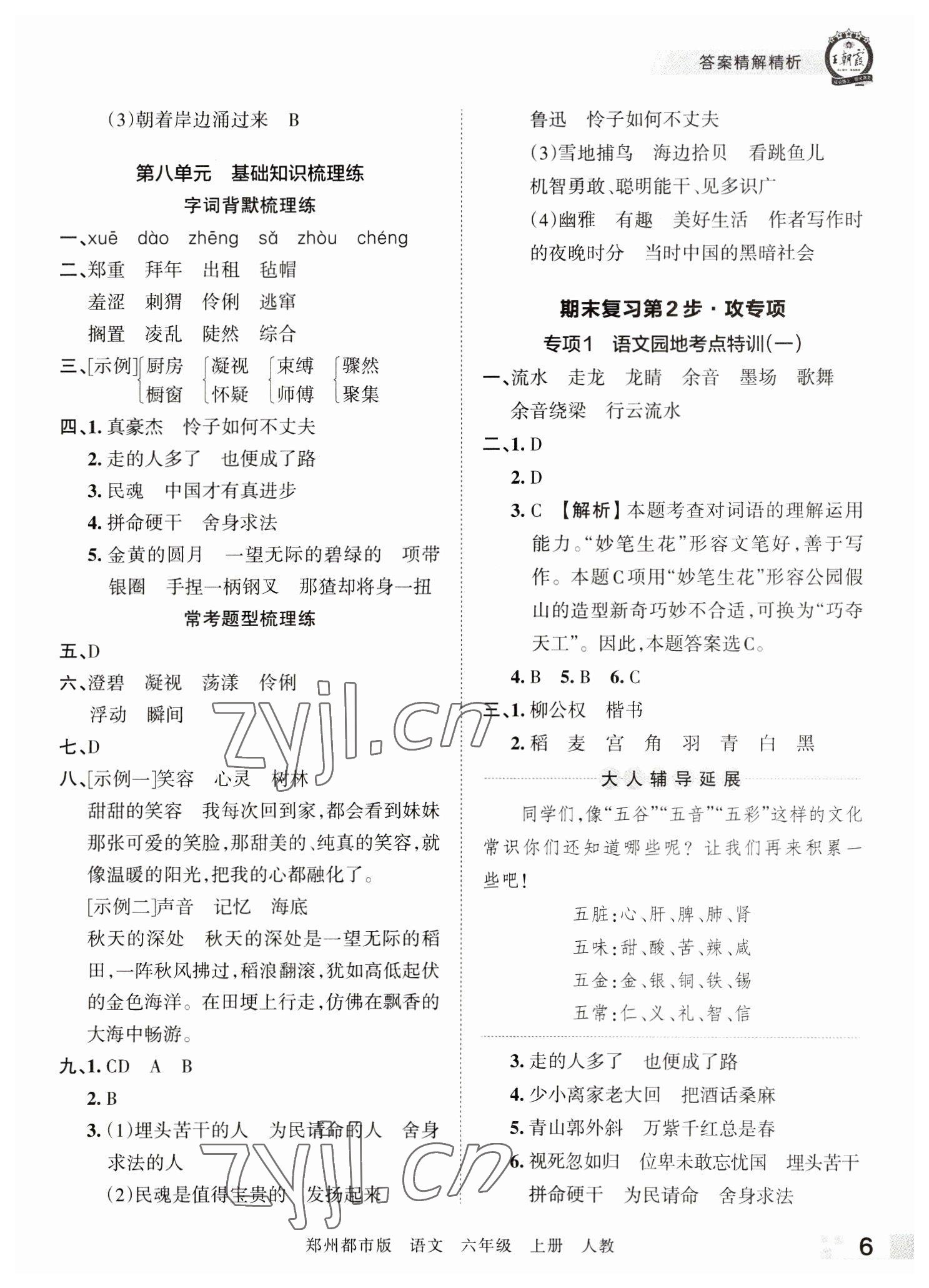 2022年王朝霞期末真題精編六年級語文上冊人教版鄭州專版 參考答案第6頁