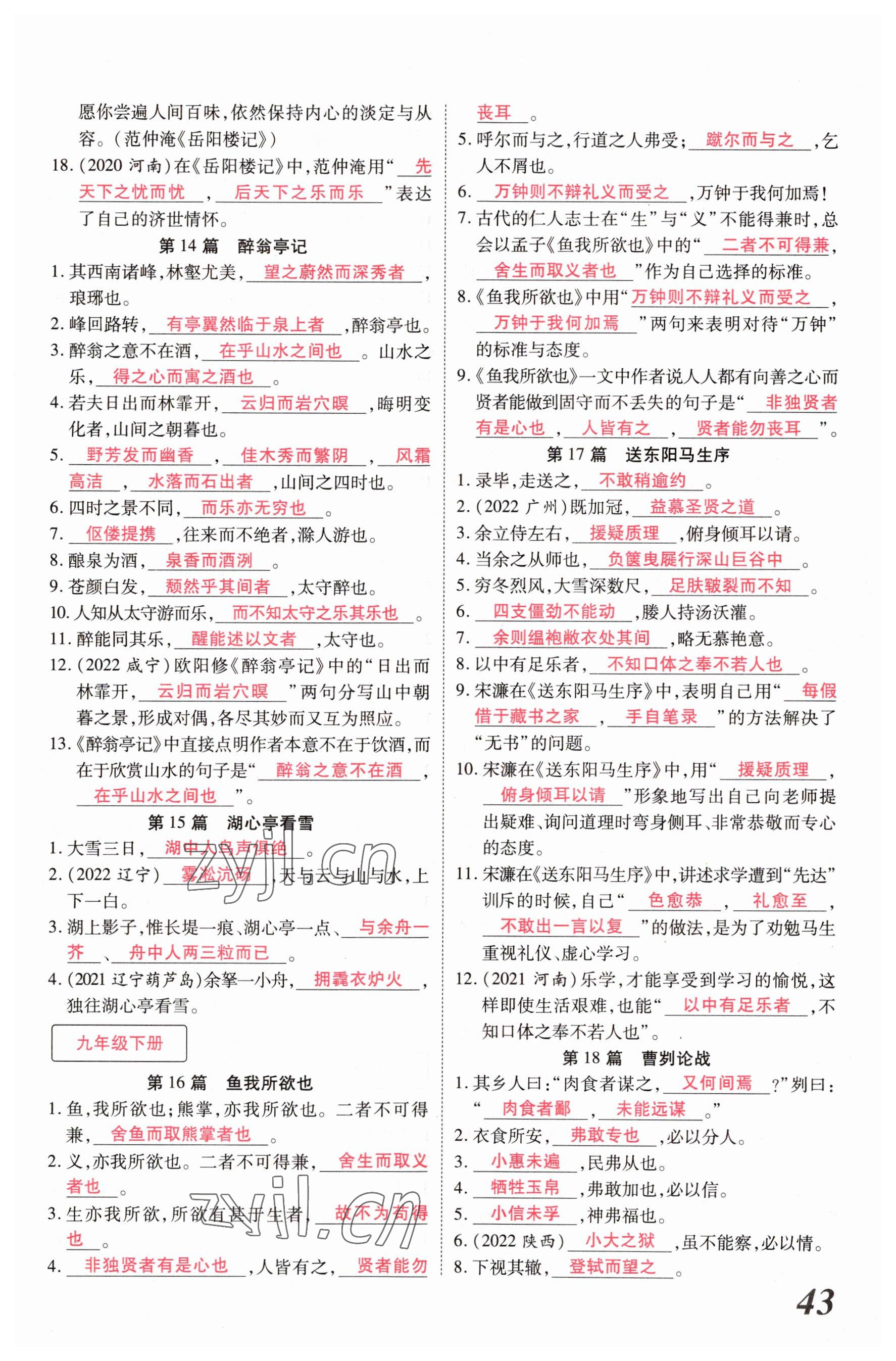 2023年新思路鄭州大學出版社語文河南專版 參考答案第42頁