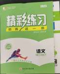 2023年精彩練習(xí)就練這一本七年級語文下冊人教版