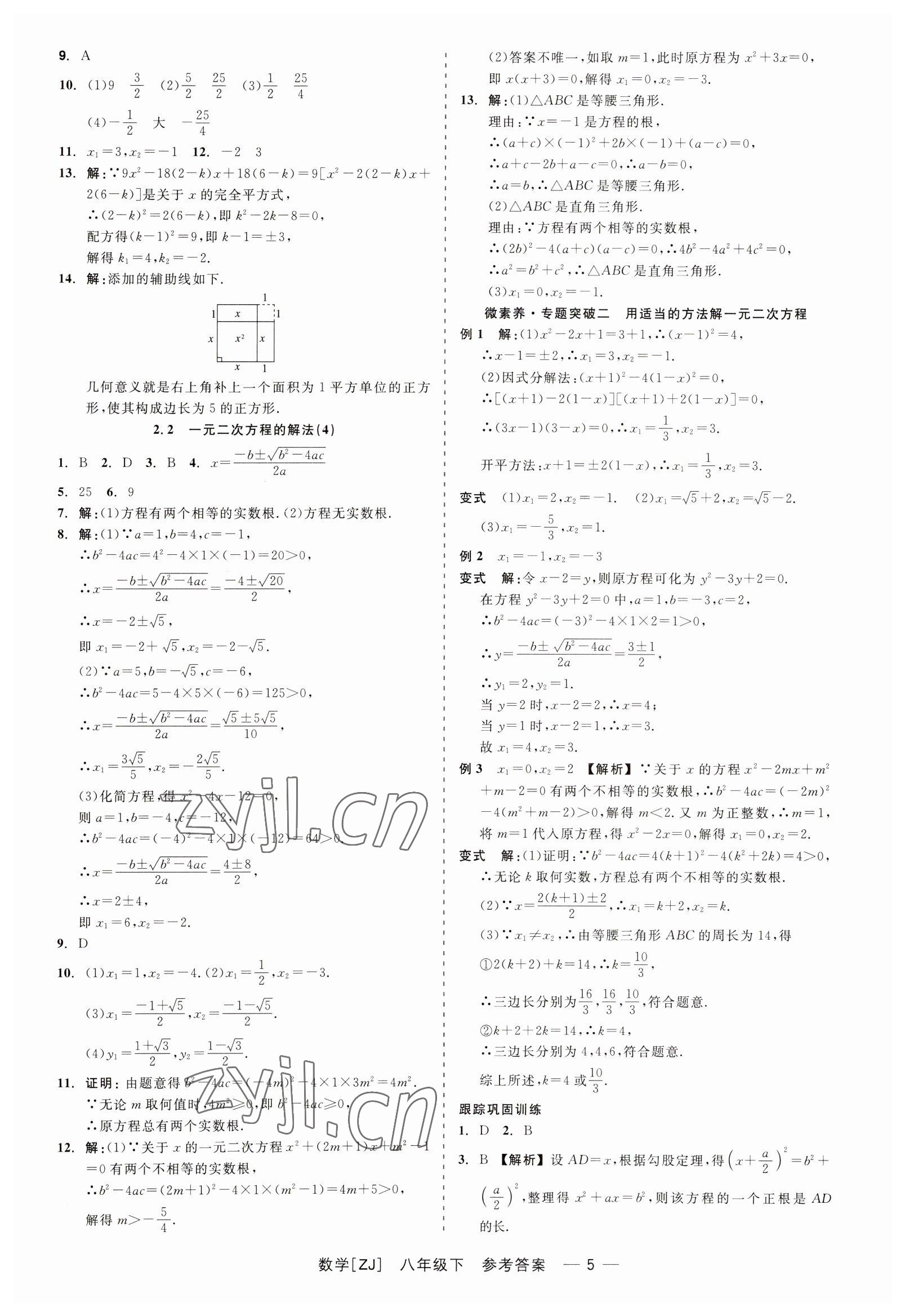 2023年精彩練習(xí)就練這一本八年級數(shù)學(xué)下冊浙教版 第5頁