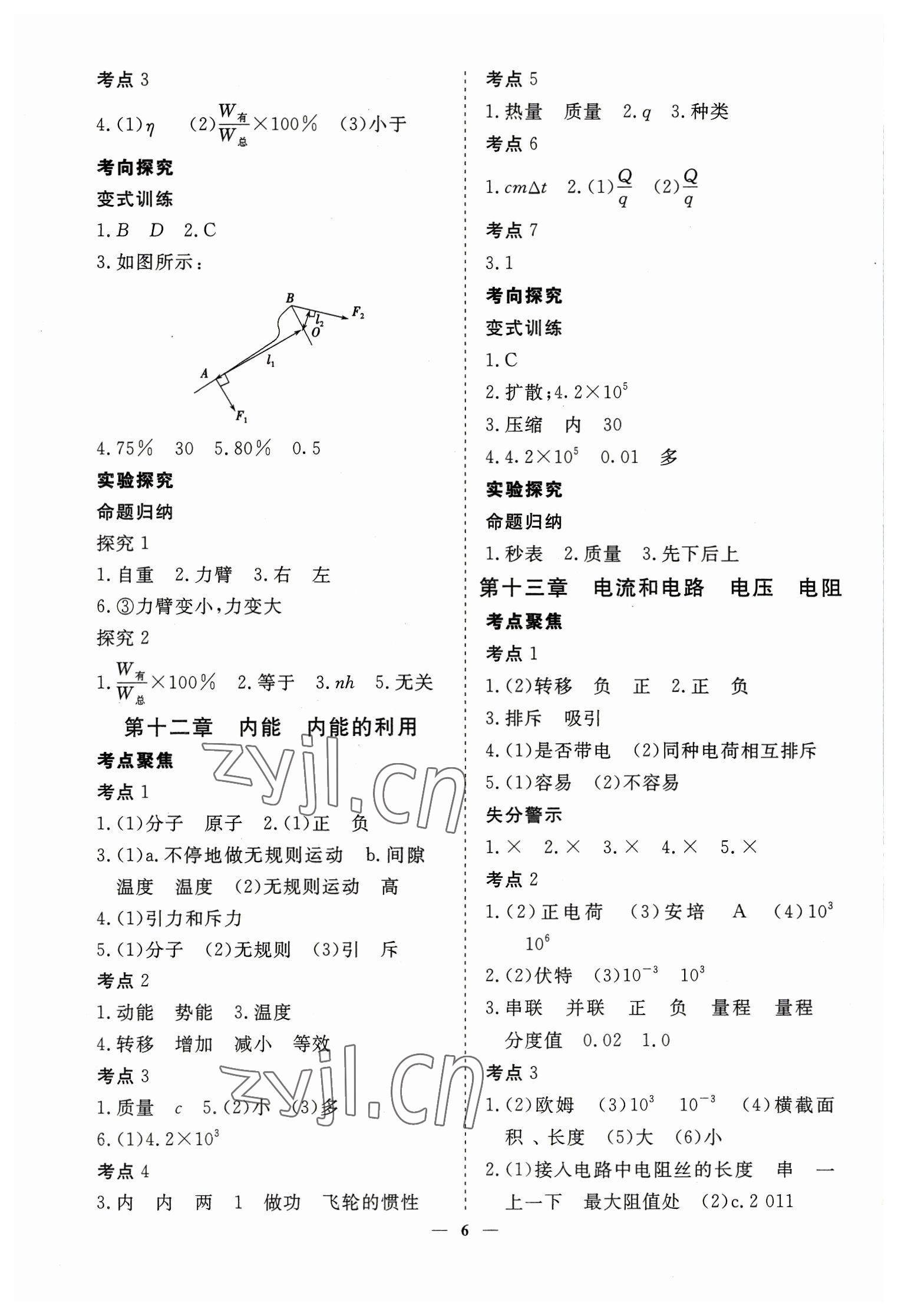 2023年致勝中考初中總復習指導用書物理 參考答案第6頁