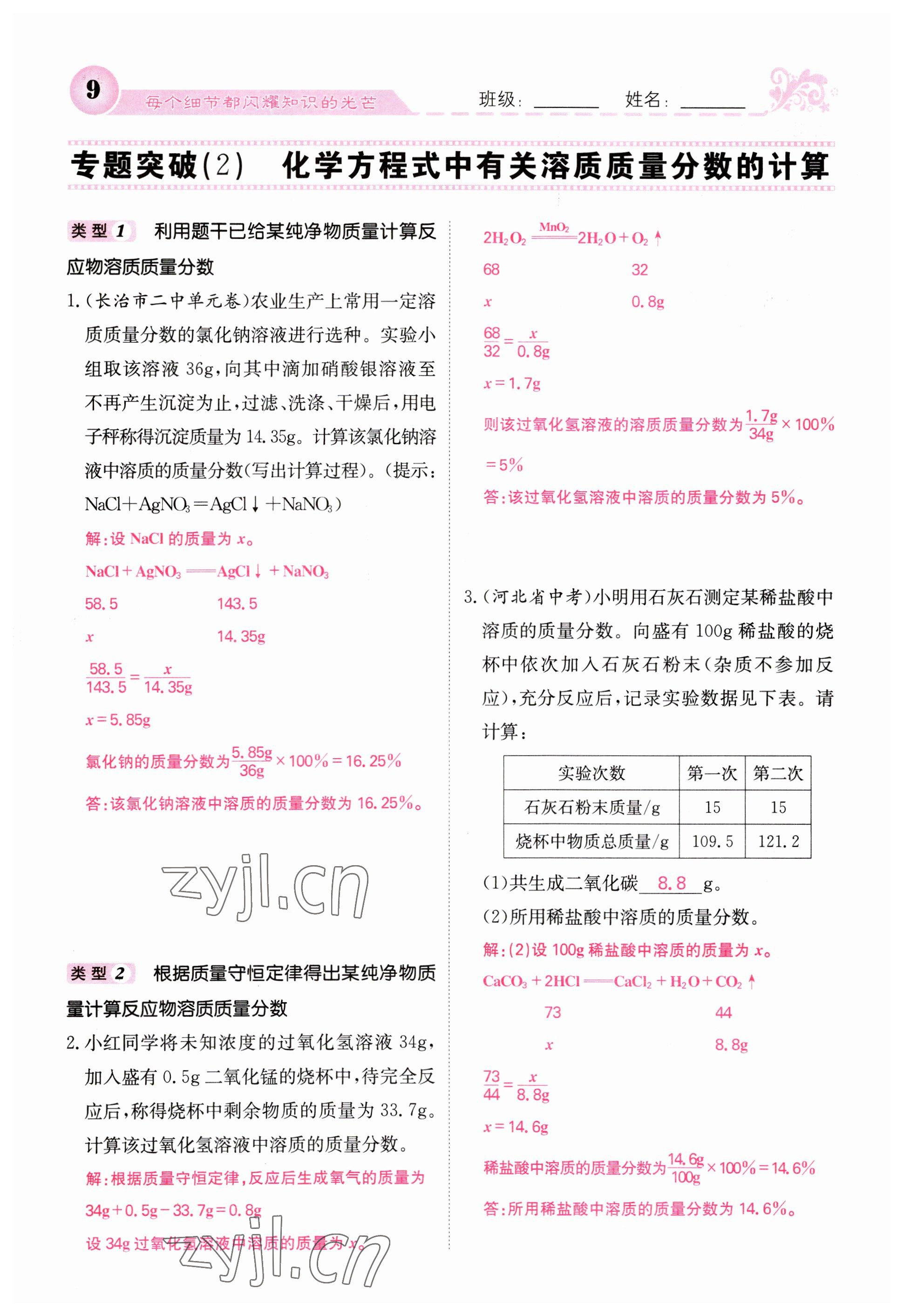 2023年课堂点睛九年级化学下册沪教版 参考答案第9页