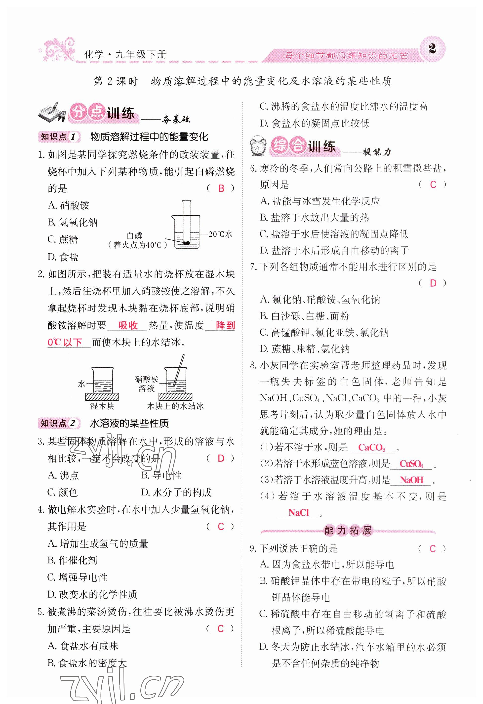 2023年课堂点睛九年级化学下册沪教版 参考答案第2页