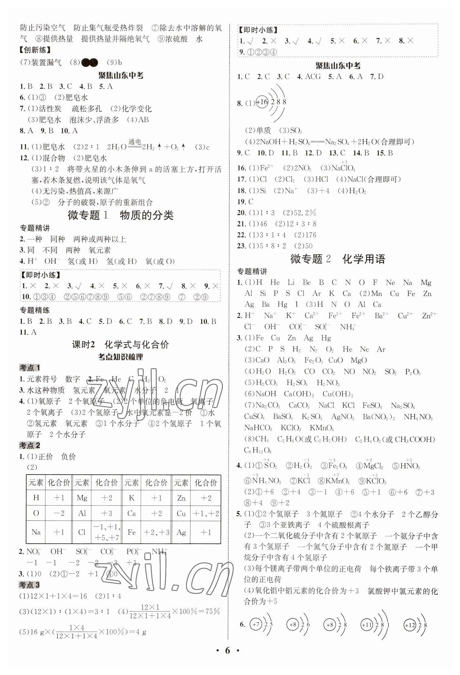 2023年中考对策化学临沂专版&nbsp;参考答案第6页