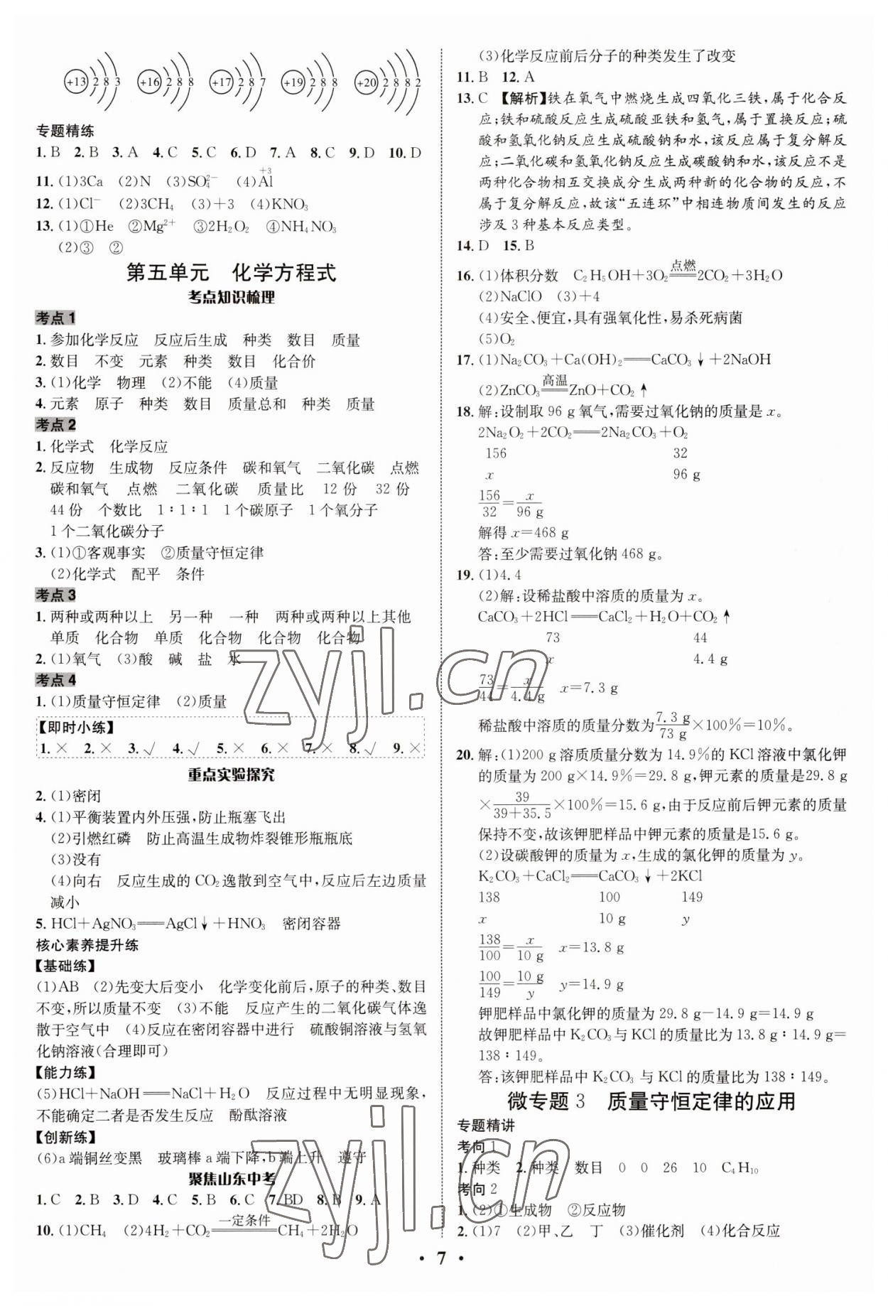 2023年中考对策化学临沂专版&nbsp;参考答案第7页
