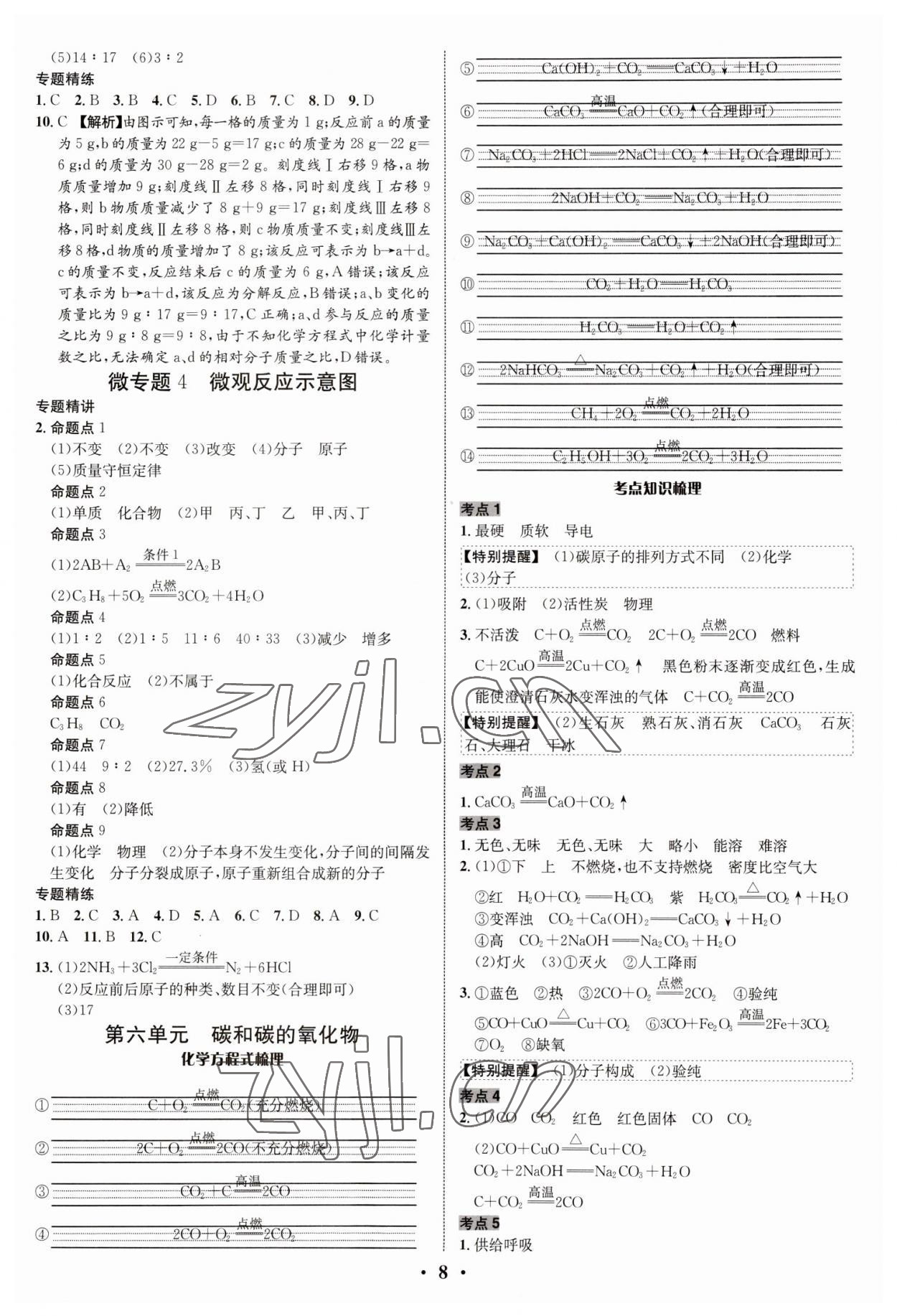 2023年中考对策化学临沂专版&nbsp;参考答案第8页