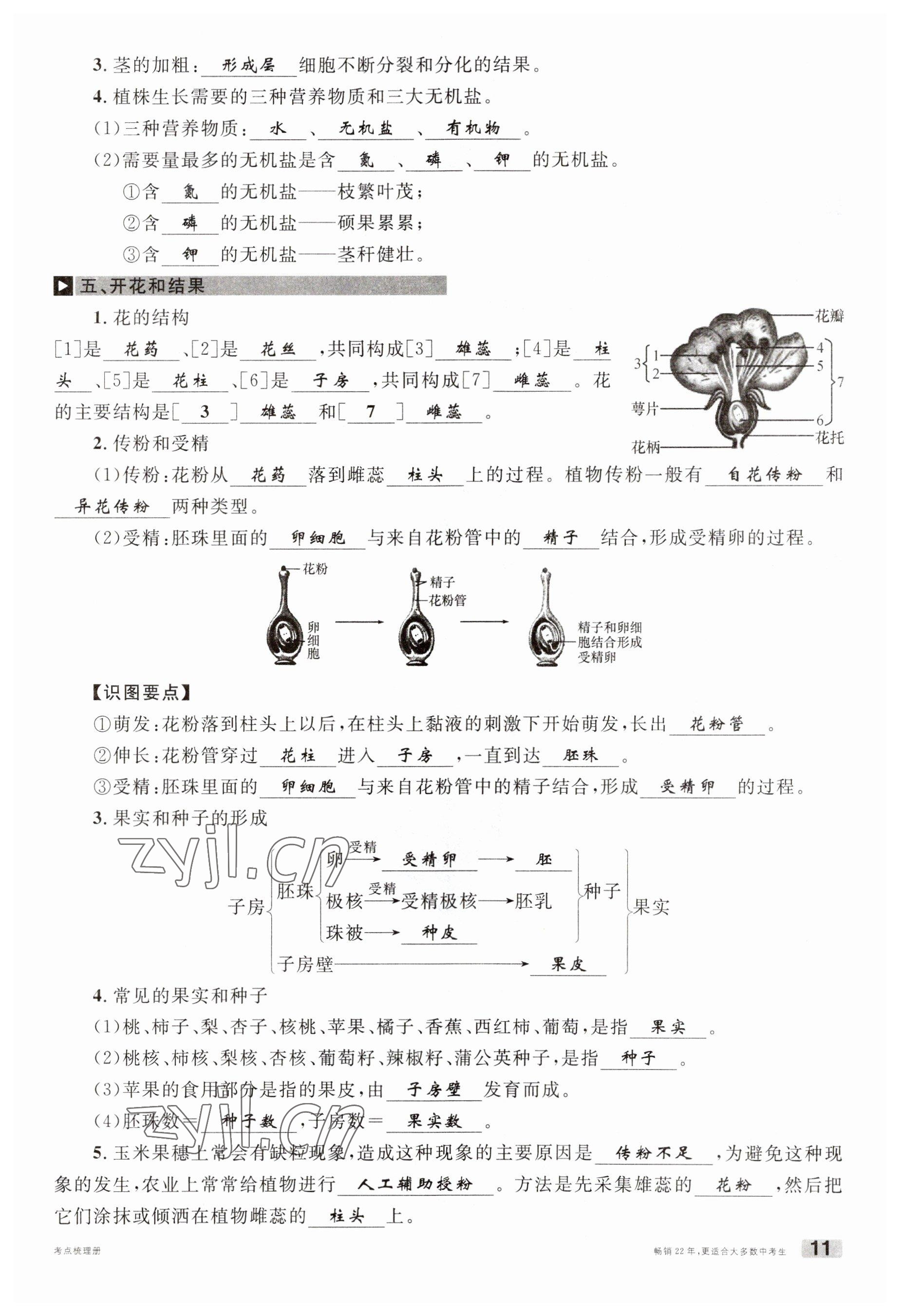 2023年火线100天中考滚动复习法生物南充专版 参考答案第11页