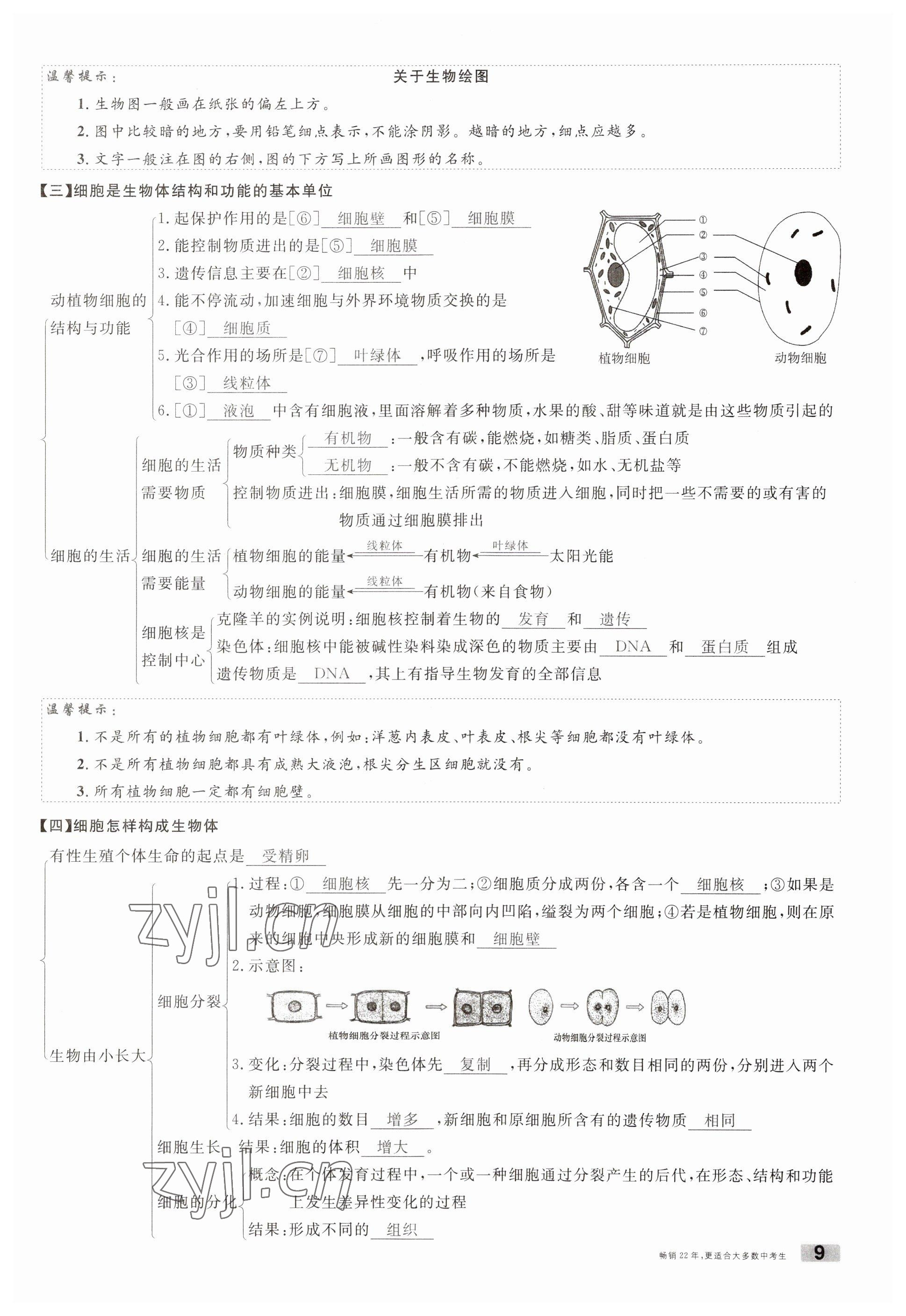 2023年火線100天中考滾動復(fù)習(xí)法生物南充專版 參考答案第9頁