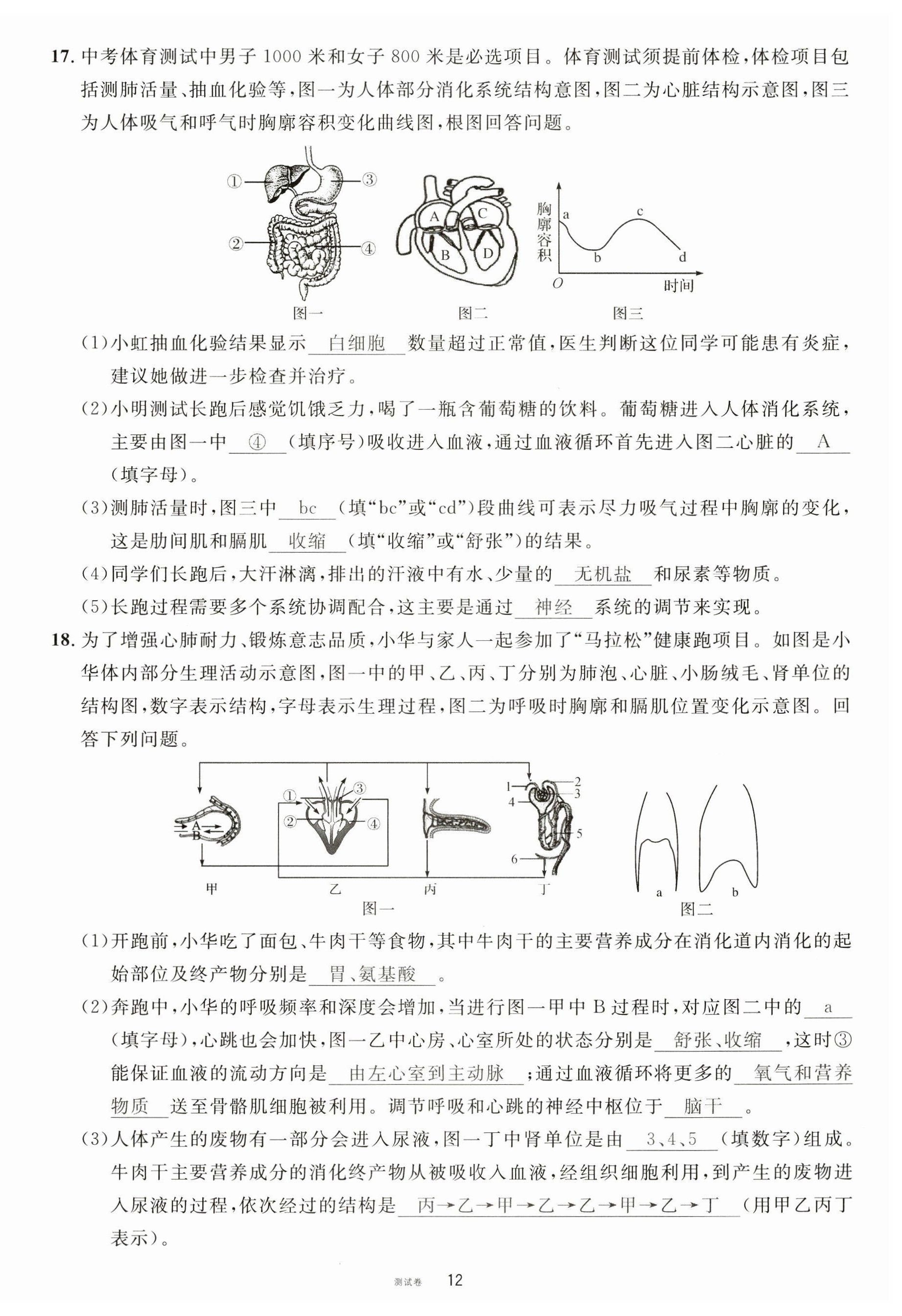 2023年火線100天中考滾動(dòng)復(fù)習(xí)法生物南充專版 第12頁(yè)