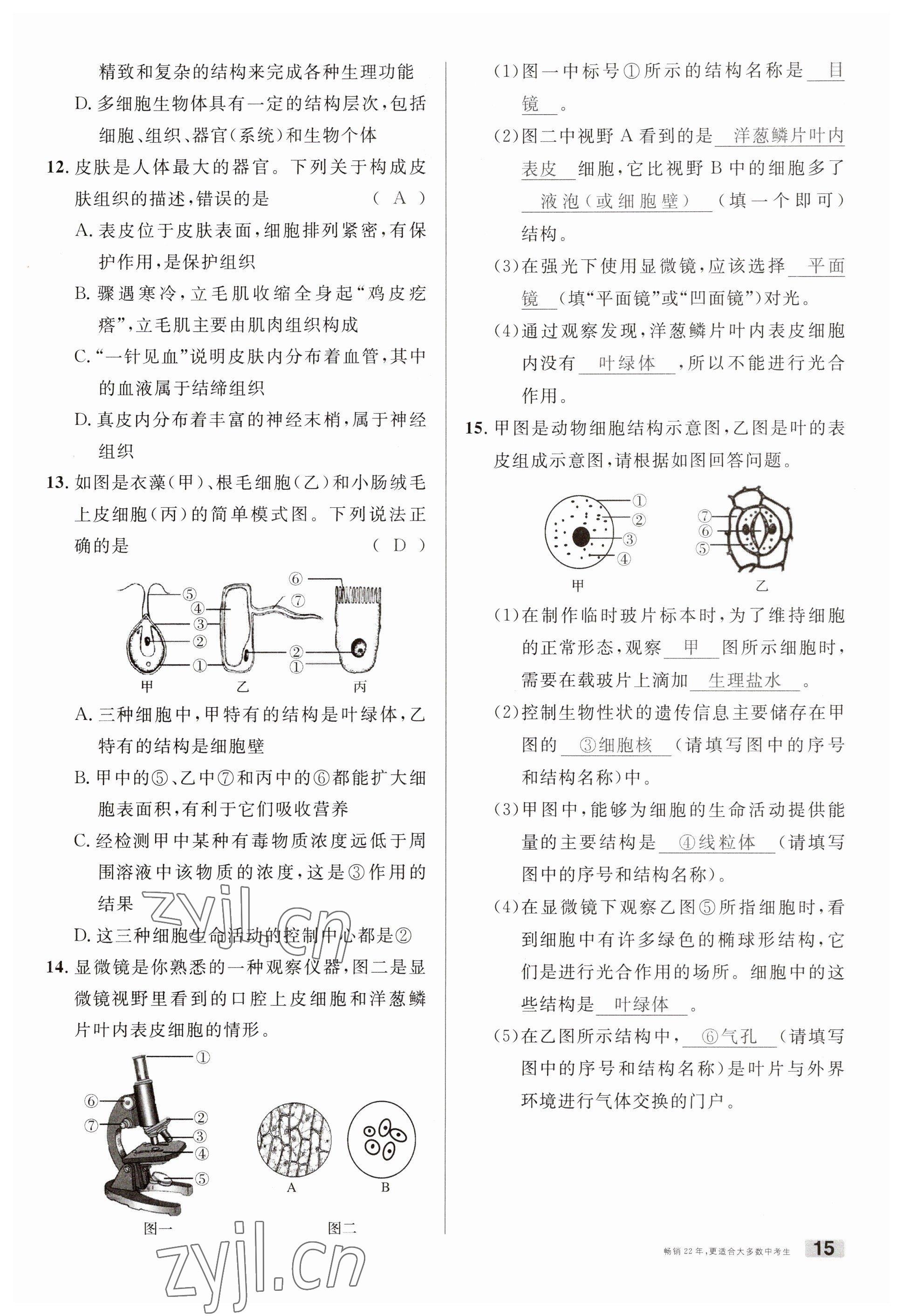 2023年火線100天中考滾動復(fù)習(xí)法生物南充專版 參考答案第15頁