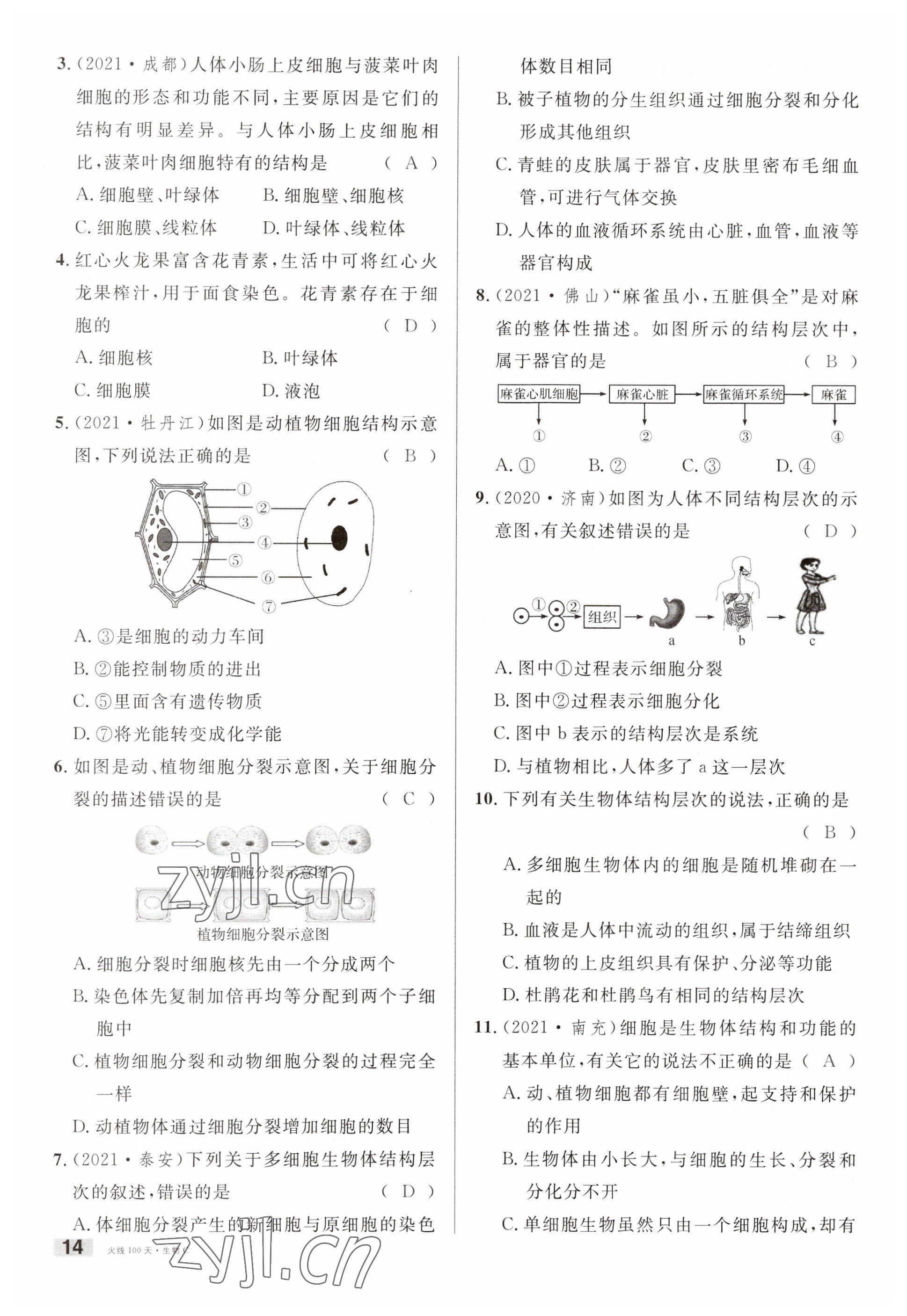 2023年火线100天中考滚动复习法生物南充专版 参考答案第14页