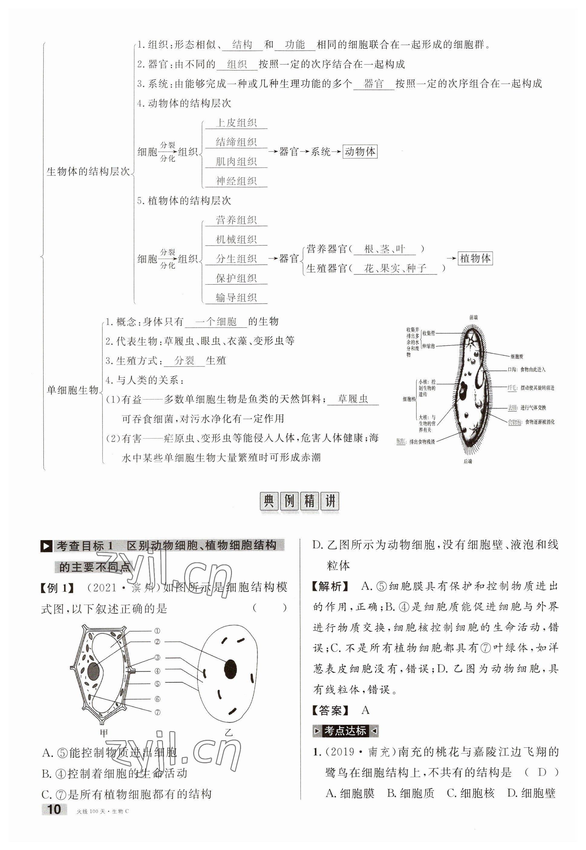 2023年火線100天中考滾動(dòng)復(fù)習(xí)法生物南充專版 參考答案第10頁