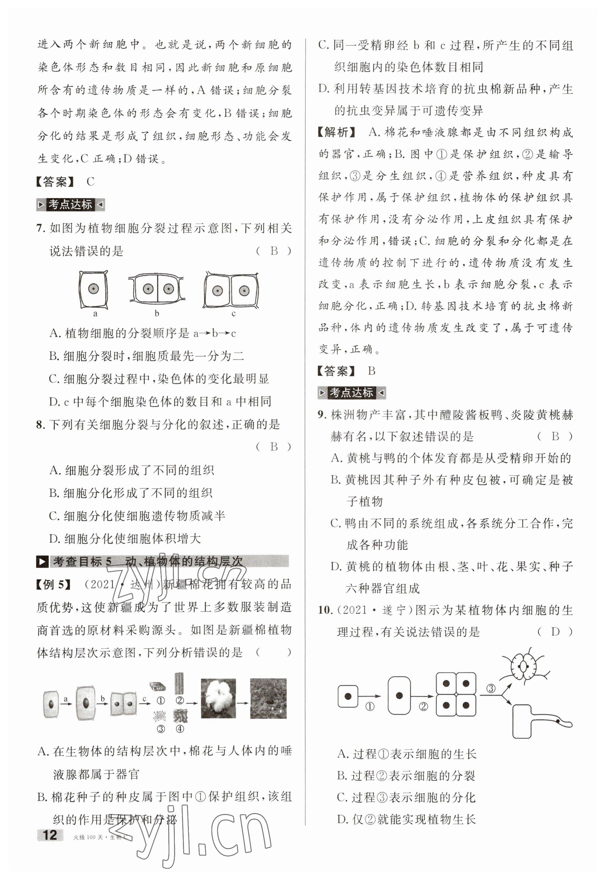 2023年火線100天中考滾動(dòng)復(fù)習(xí)法生物南充專版 參考答案第12頁