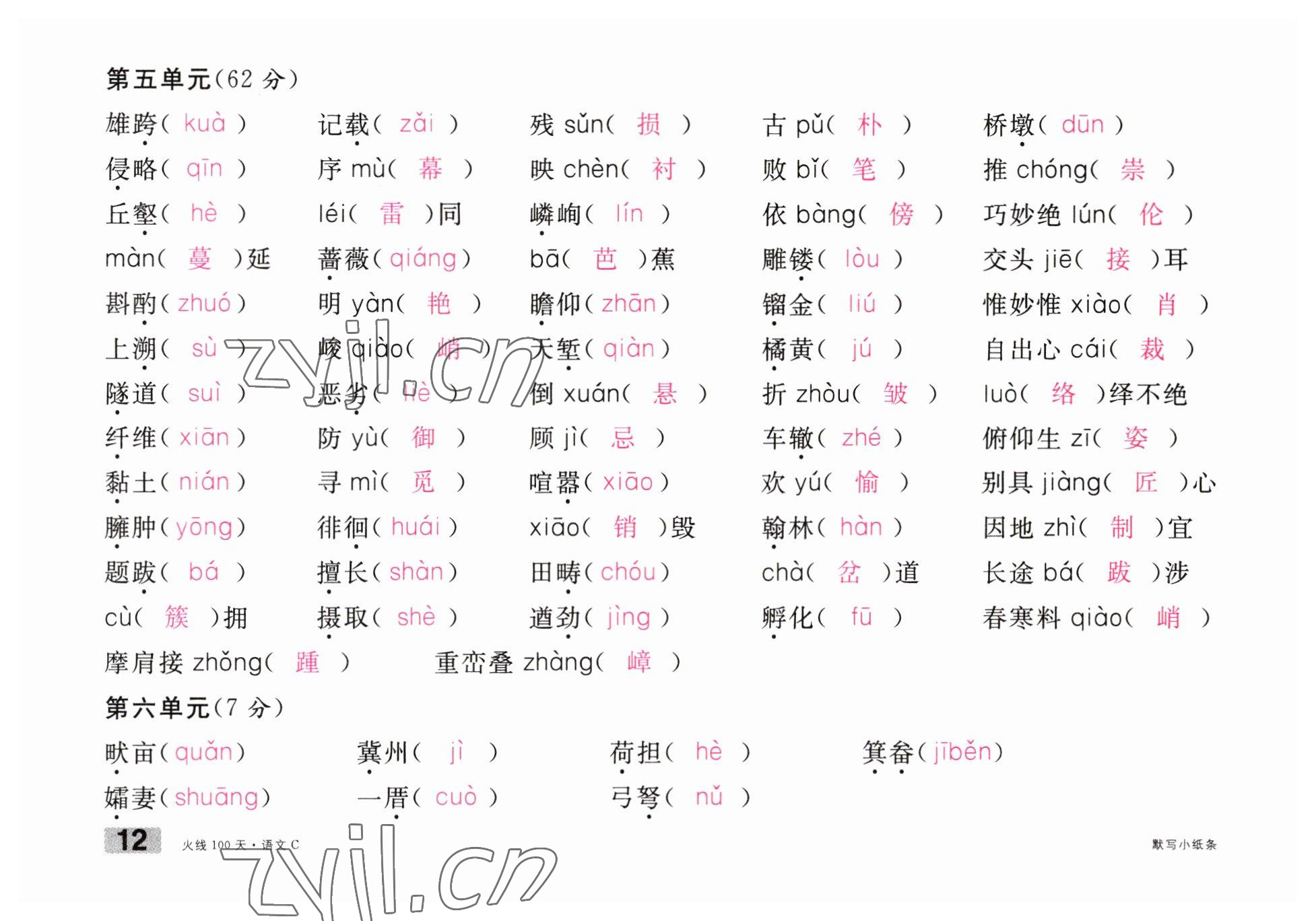 2023年火線100天中考滾動復(fù)習(xí)法語文南充專版 參考答案第12頁