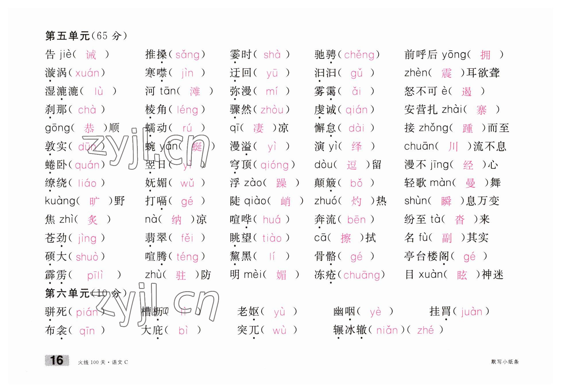 2023年火線100天中考滾動復(fù)習(xí)法語文南充專版 參考答案第16頁