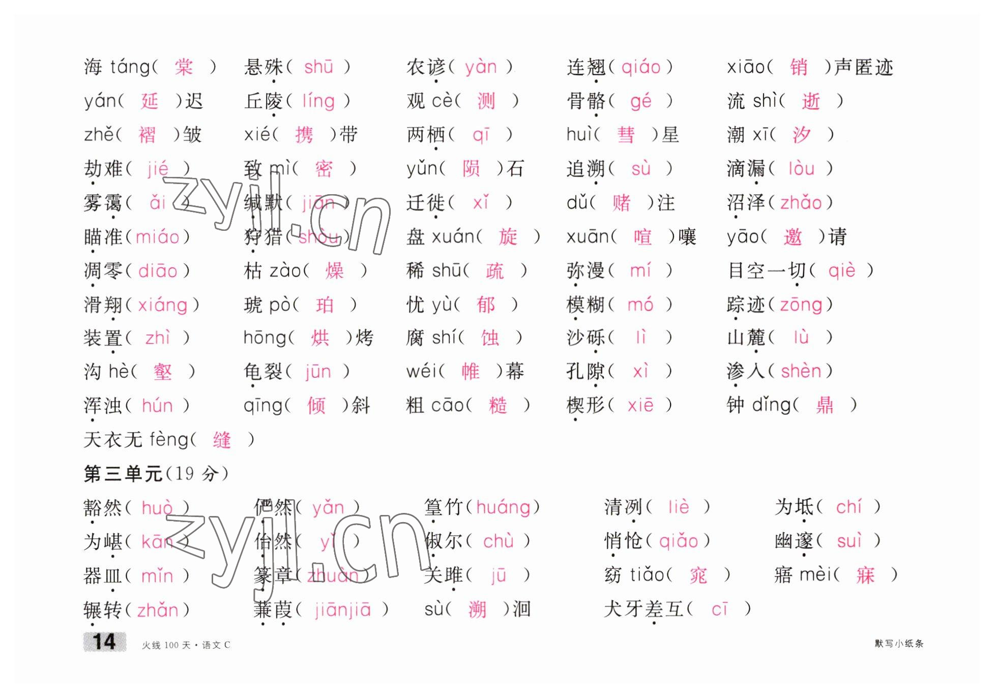 2023年火線100天中考滾動復習法語文南充專版 參考答案第14頁