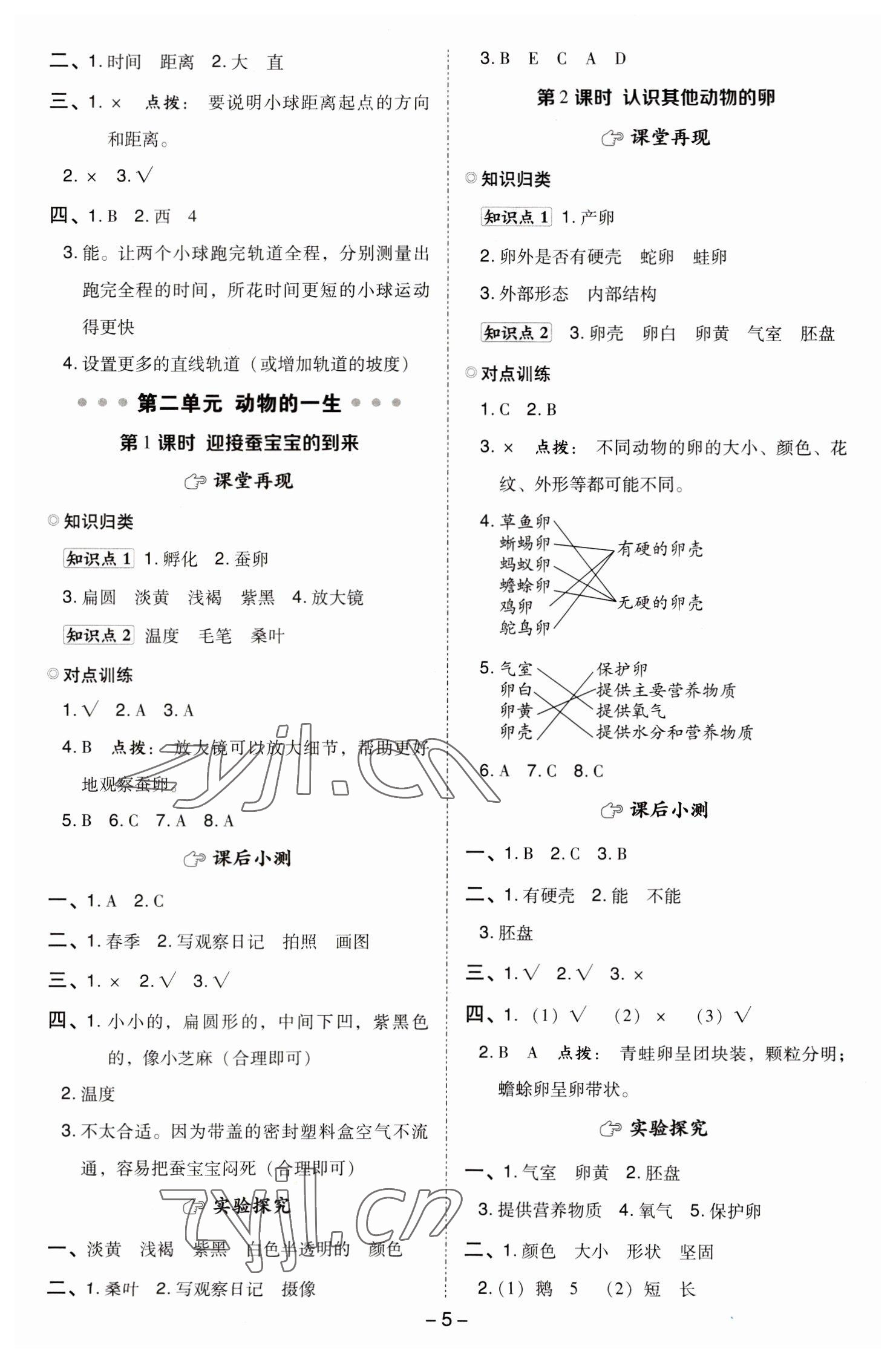 2023年綜合應(yīng)用創(chuàng)新題典中點(diǎn)三年級(jí)科學(xué)下冊(cè)教科版 參考答案第4頁