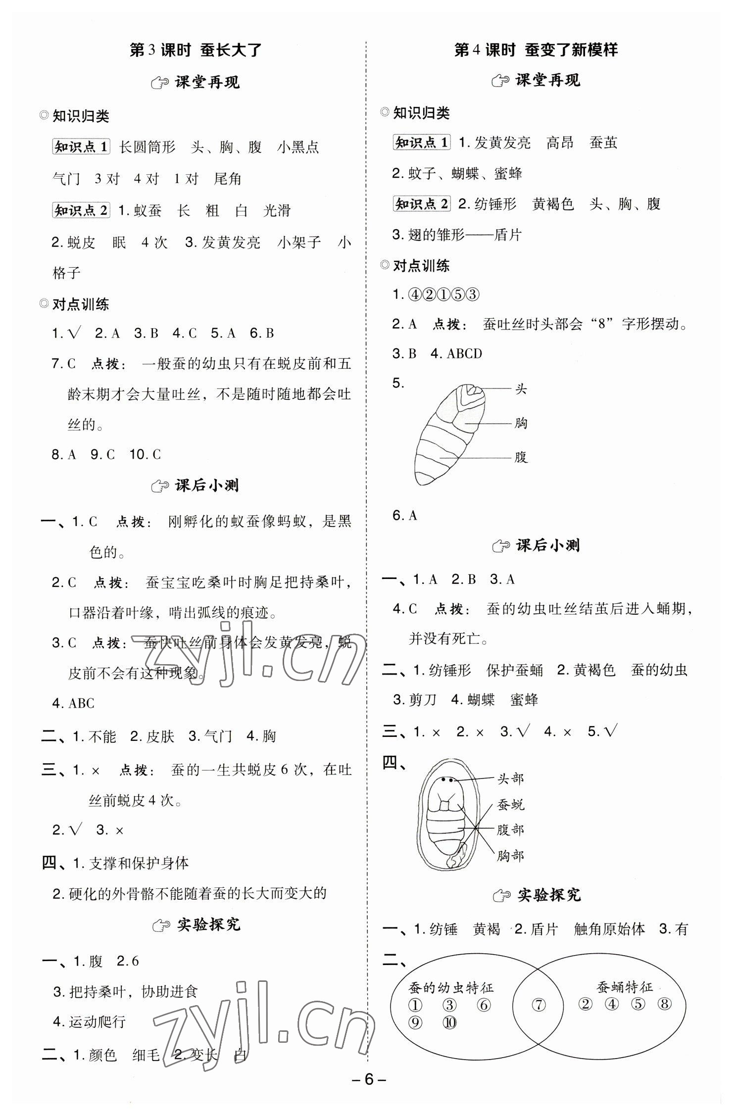 2023年綜合應(yīng)用創(chuàng)新題典中點三年級科學(xué)下冊教科版 參考答案第5頁